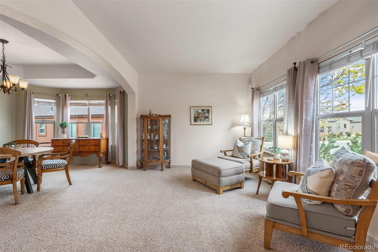 MLS Image #5 for 773  sally hill court,monument, Colorado