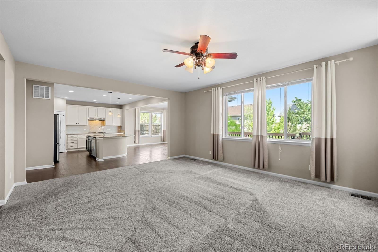 MLS Image #10 for 7641  blue water drive,castle rock, Colorado