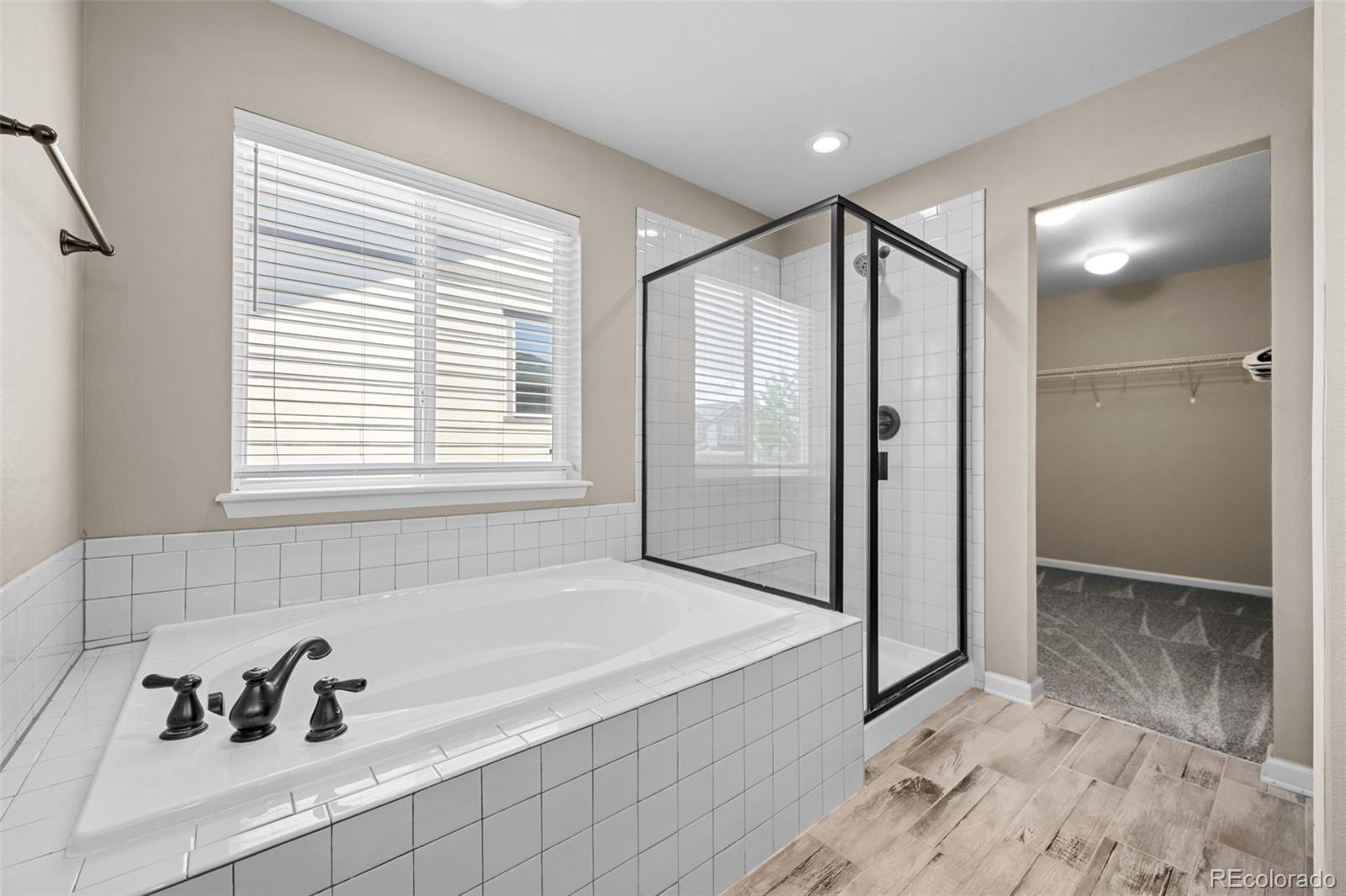 MLS Image #27 for 7641  blue water drive,castle rock, Colorado