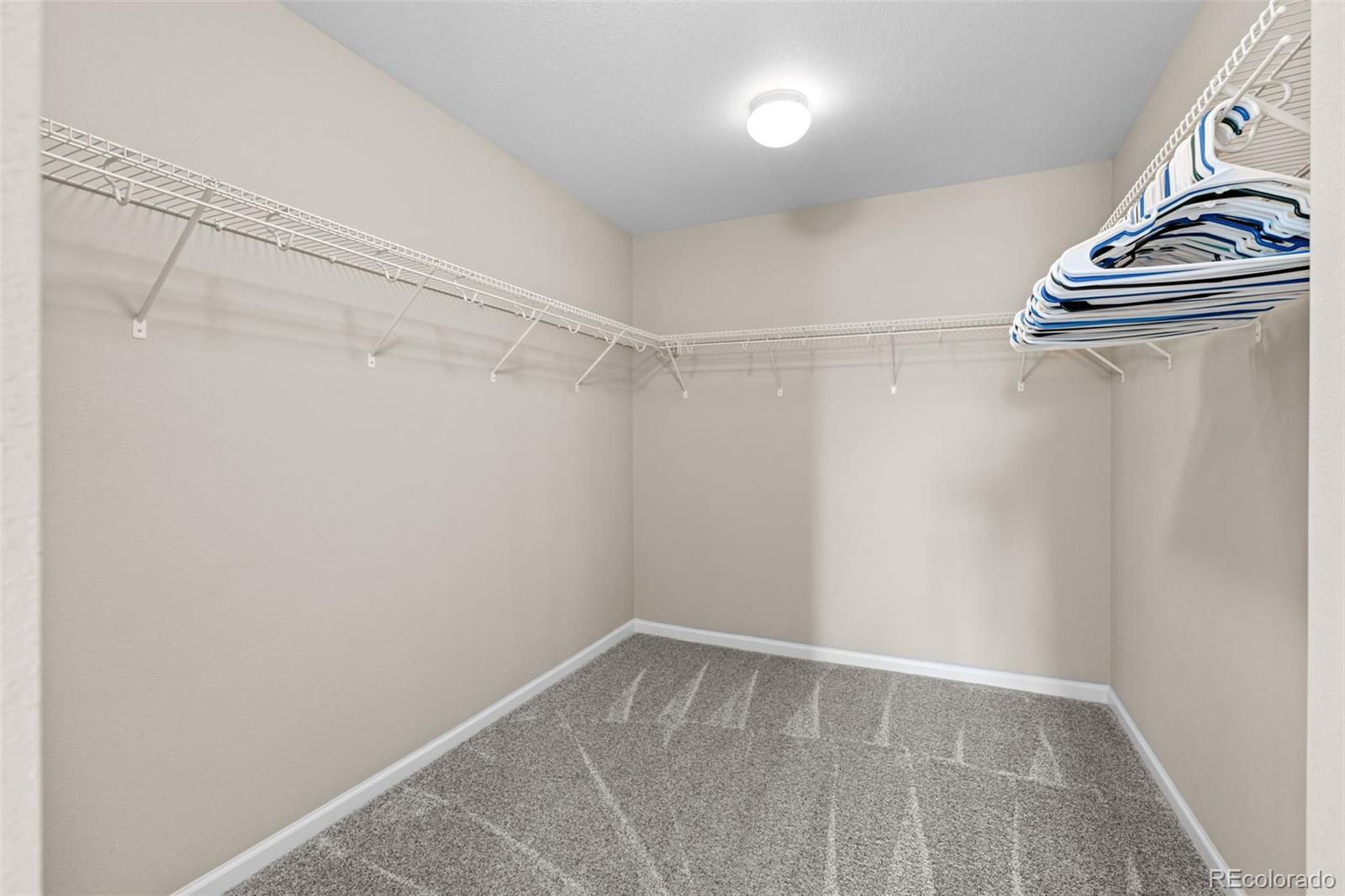 MLS Image #28 for 7641  blue water drive,castle rock, Colorado