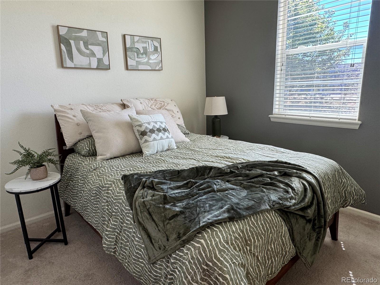 MLS Image #17 for 20076 w 93rd avenue,arvada, Colorado