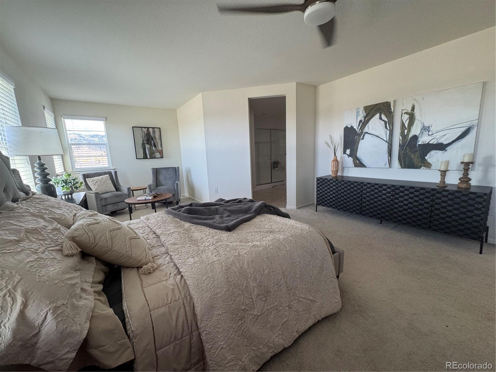 MLS Image #21 for 20076 w 93rd avenue,arvada, Colorado