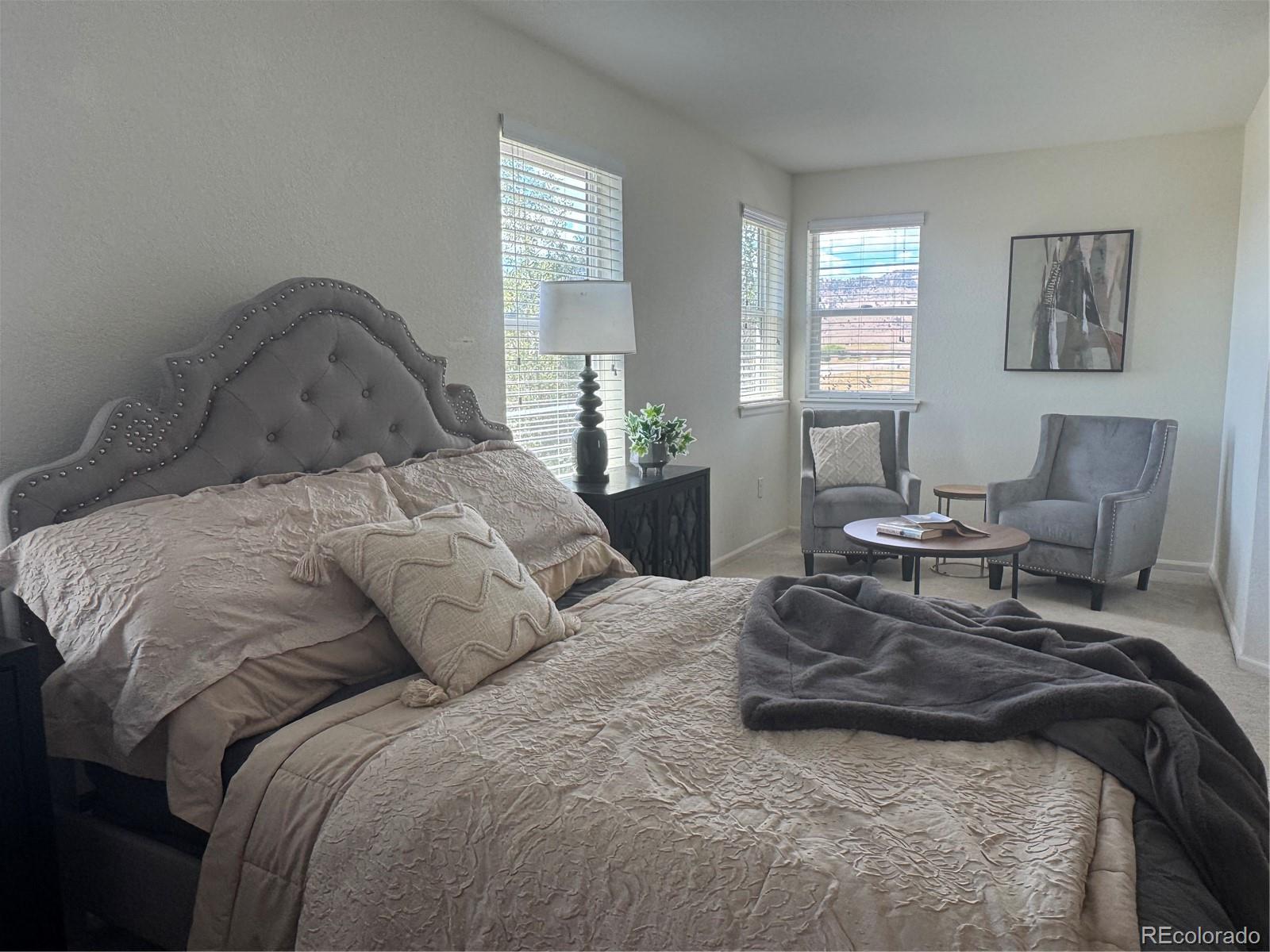MLS Image #22 for 20076 w 93rd avenue,arvada, Colorado