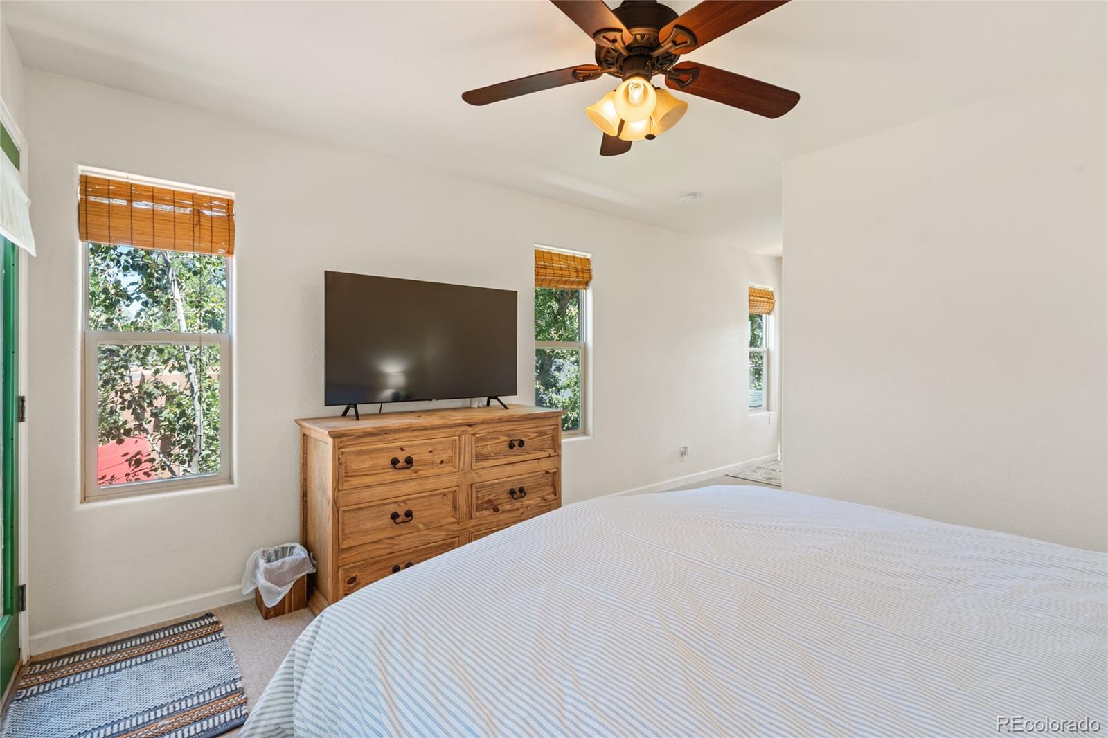 MLS Image #28 for 1819 w pikes peak avenue,colorado springs, Colorado