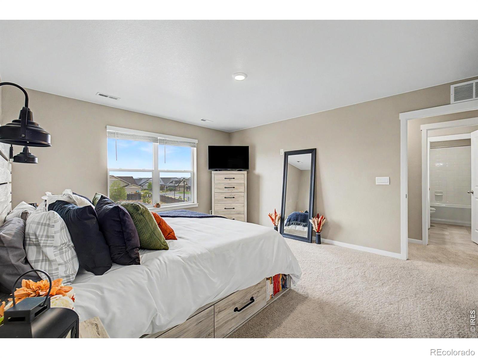 MLS Image #30 for 15704  roslyn street,thornton, Colorado