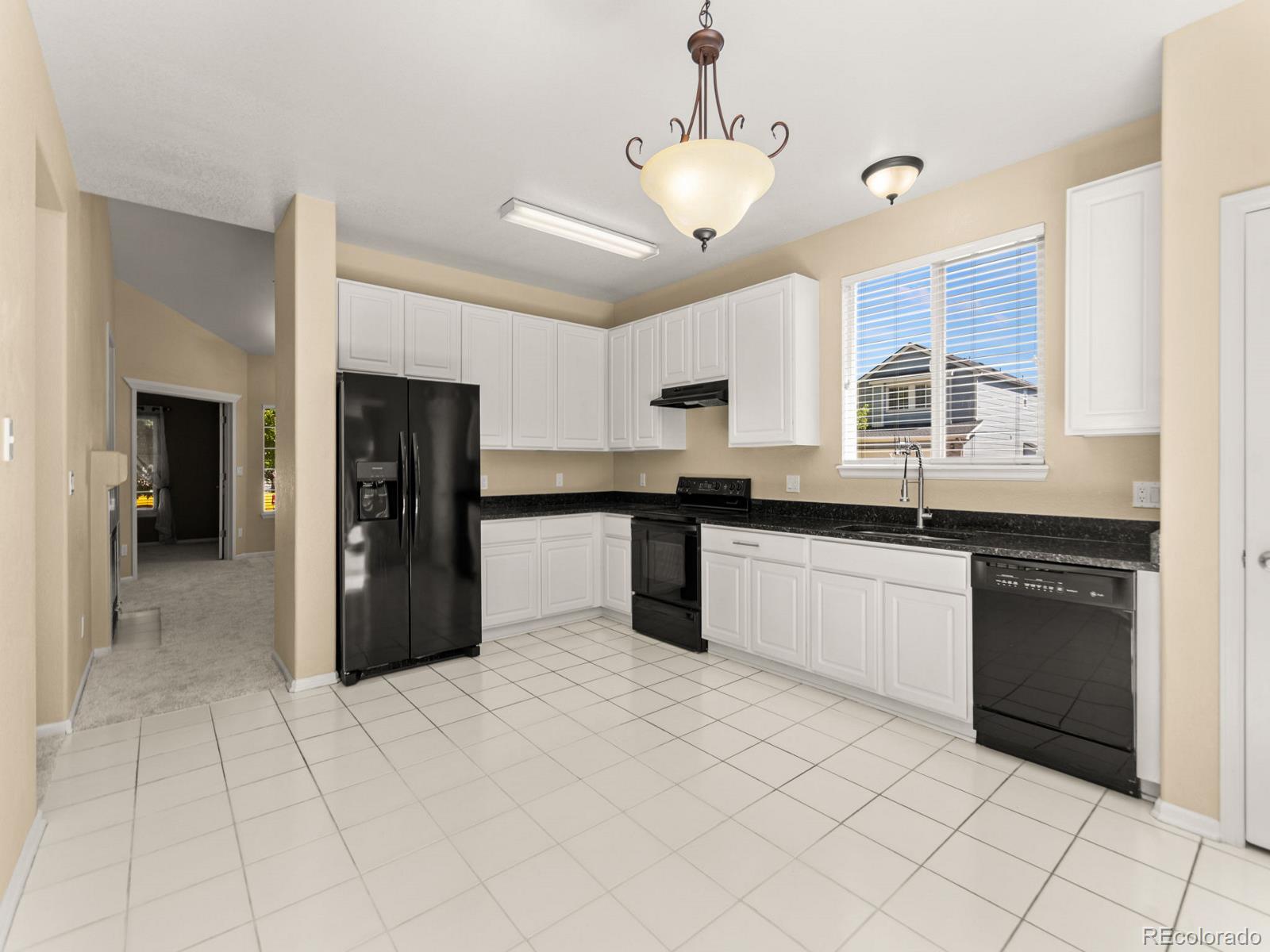 MLS Image #13 for 20290 e red fox lane,centennial, Colorado