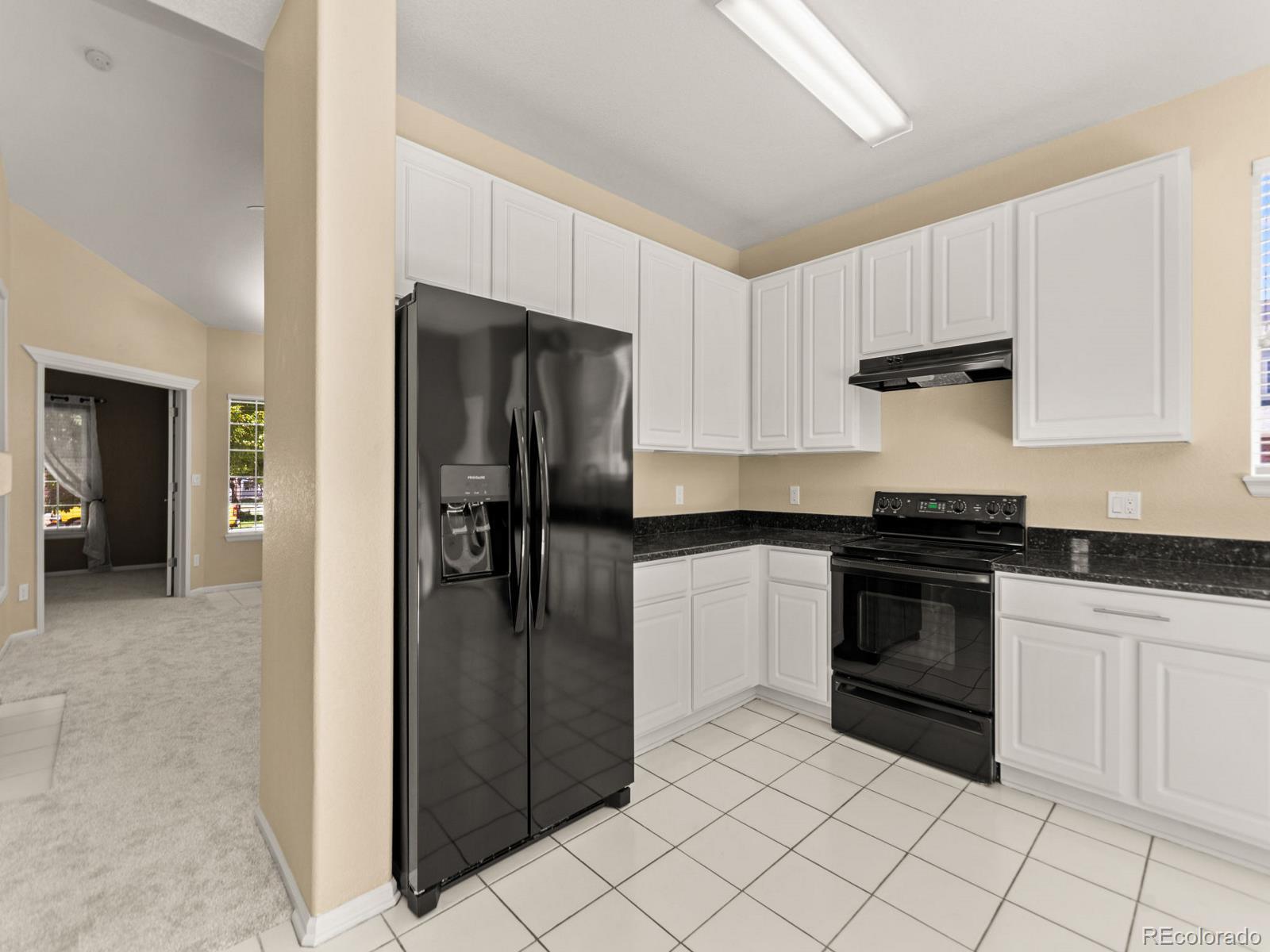 MLS Image #17 for 20290 e red fox lane,centennial, Colorado