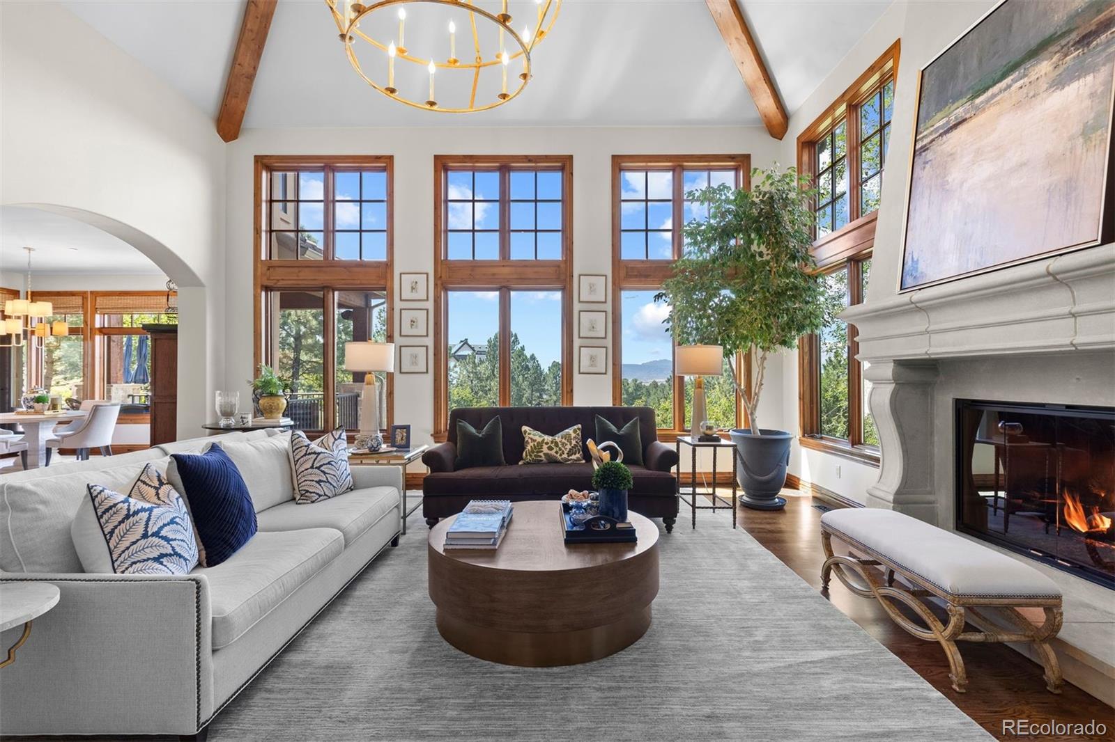 MLS Image #3 for 1054  cypress way,castle rock, Colorado