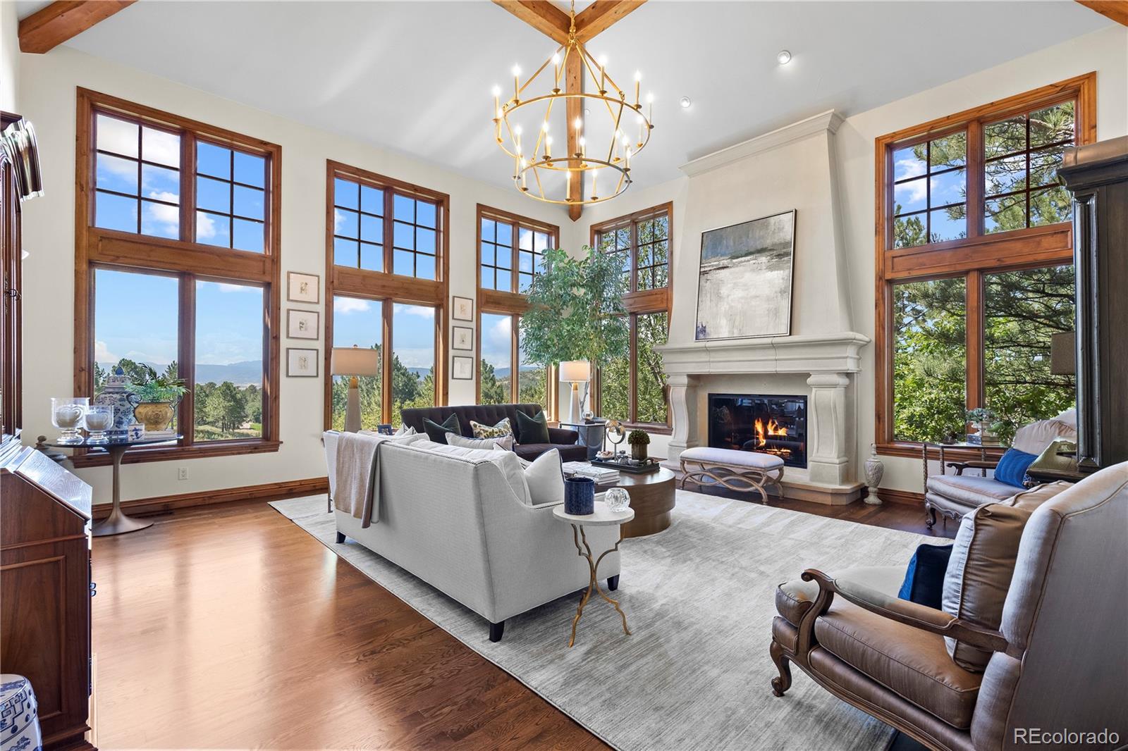 MLS Image #4 for 1054  cypress way,castle rock, Colorado
