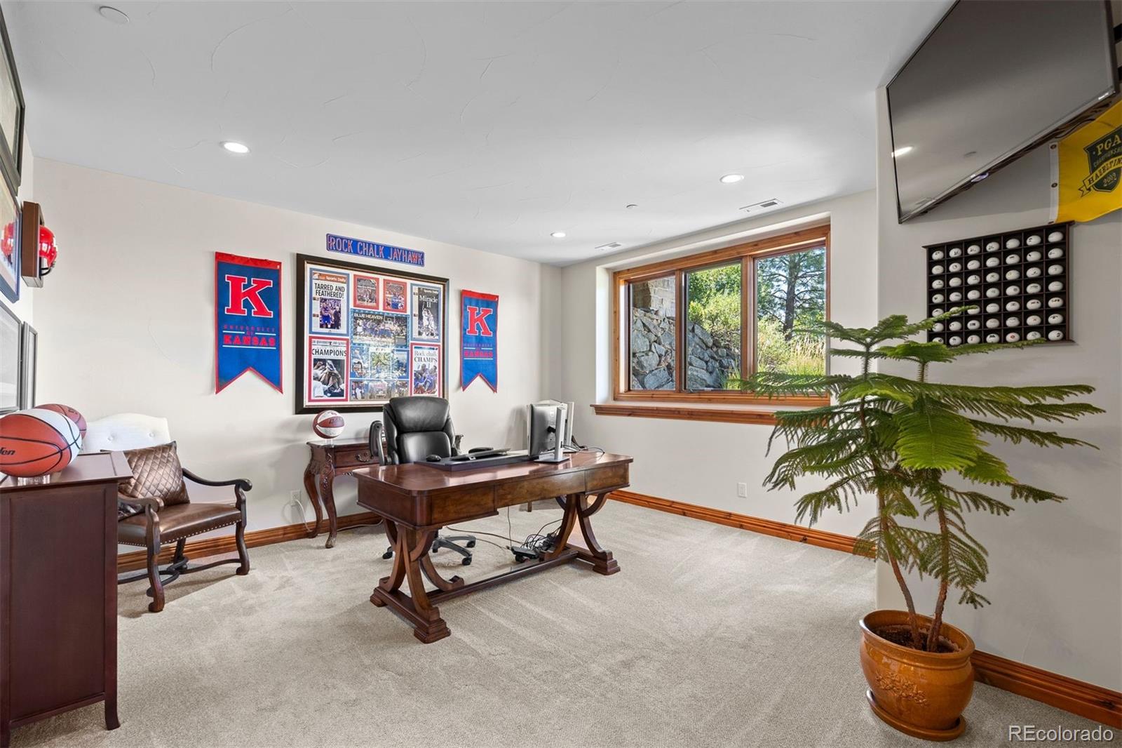 MLS Image #41 for 1054  cypress way,castle rock, Colorado