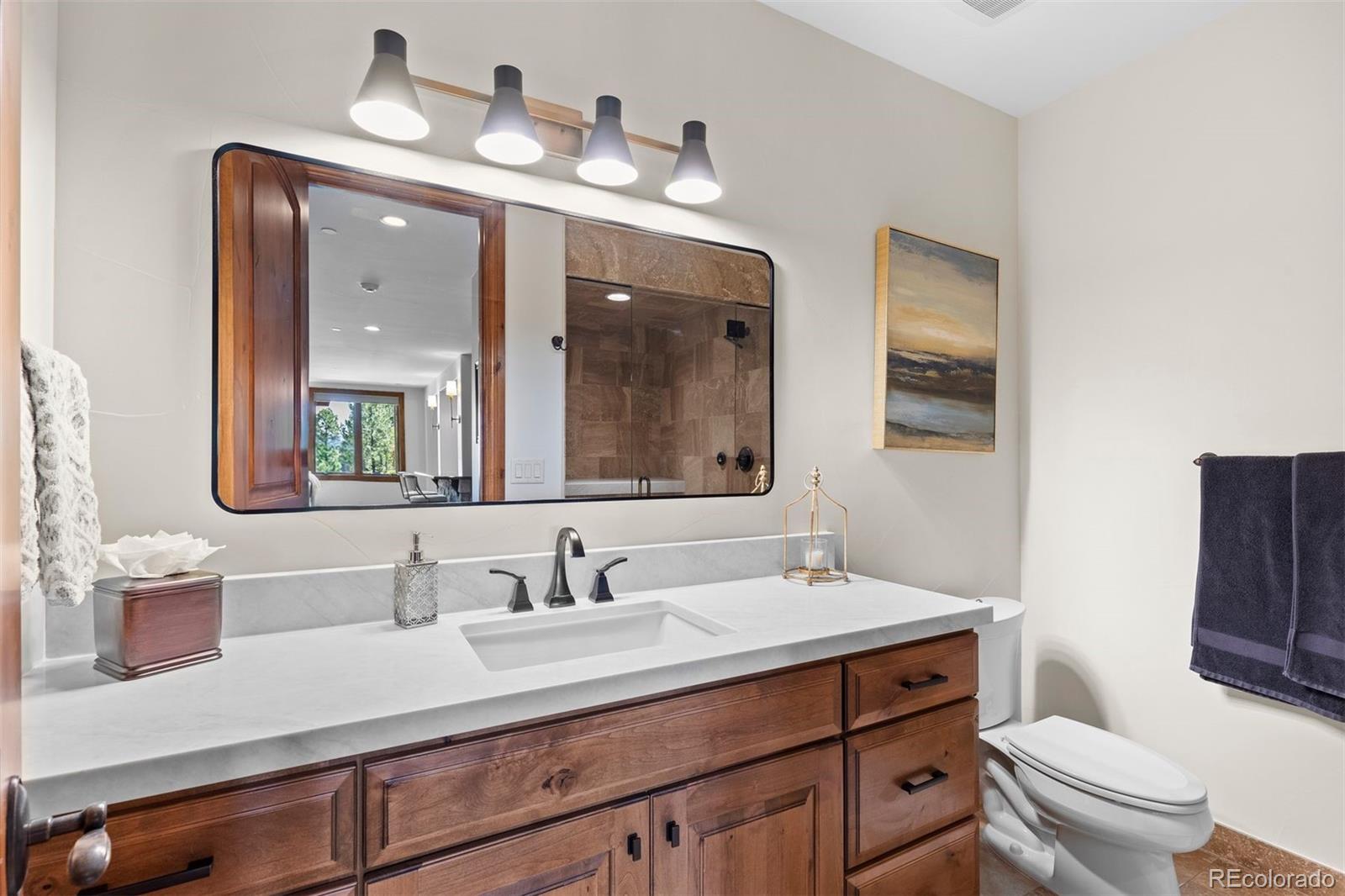 MLS Image #44 for 1054  cypress way,castle rock, Colorado