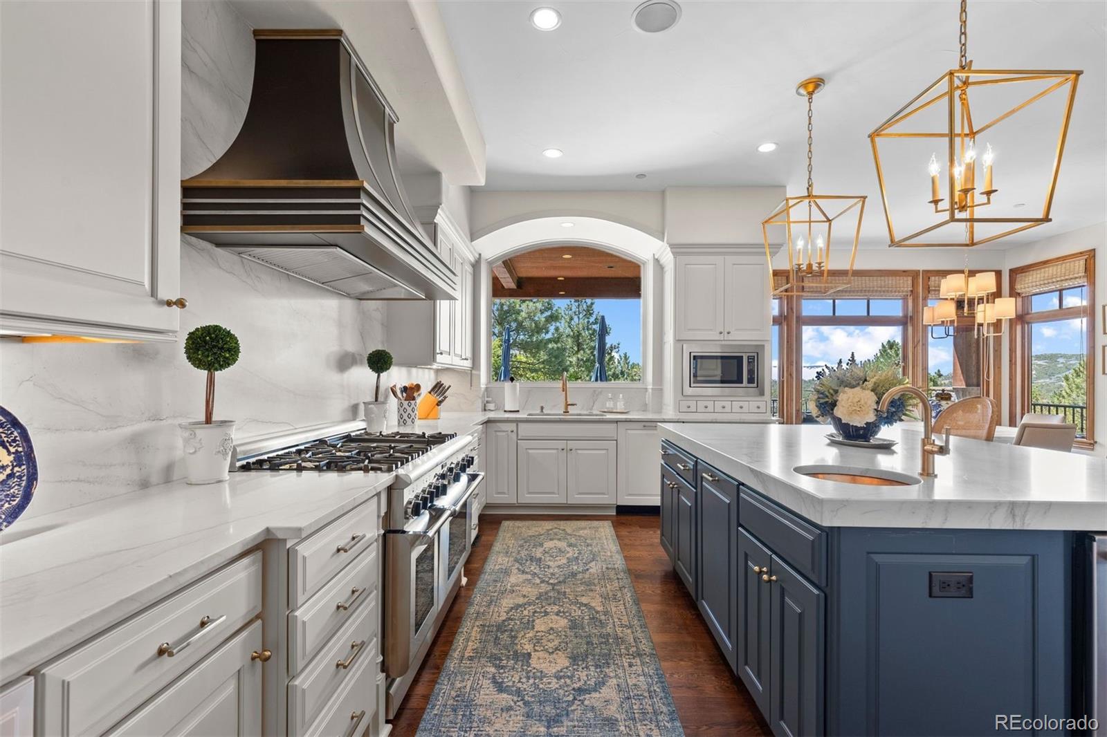 MLS Image #9 for 1054  cypress way,castle rock, Colorado