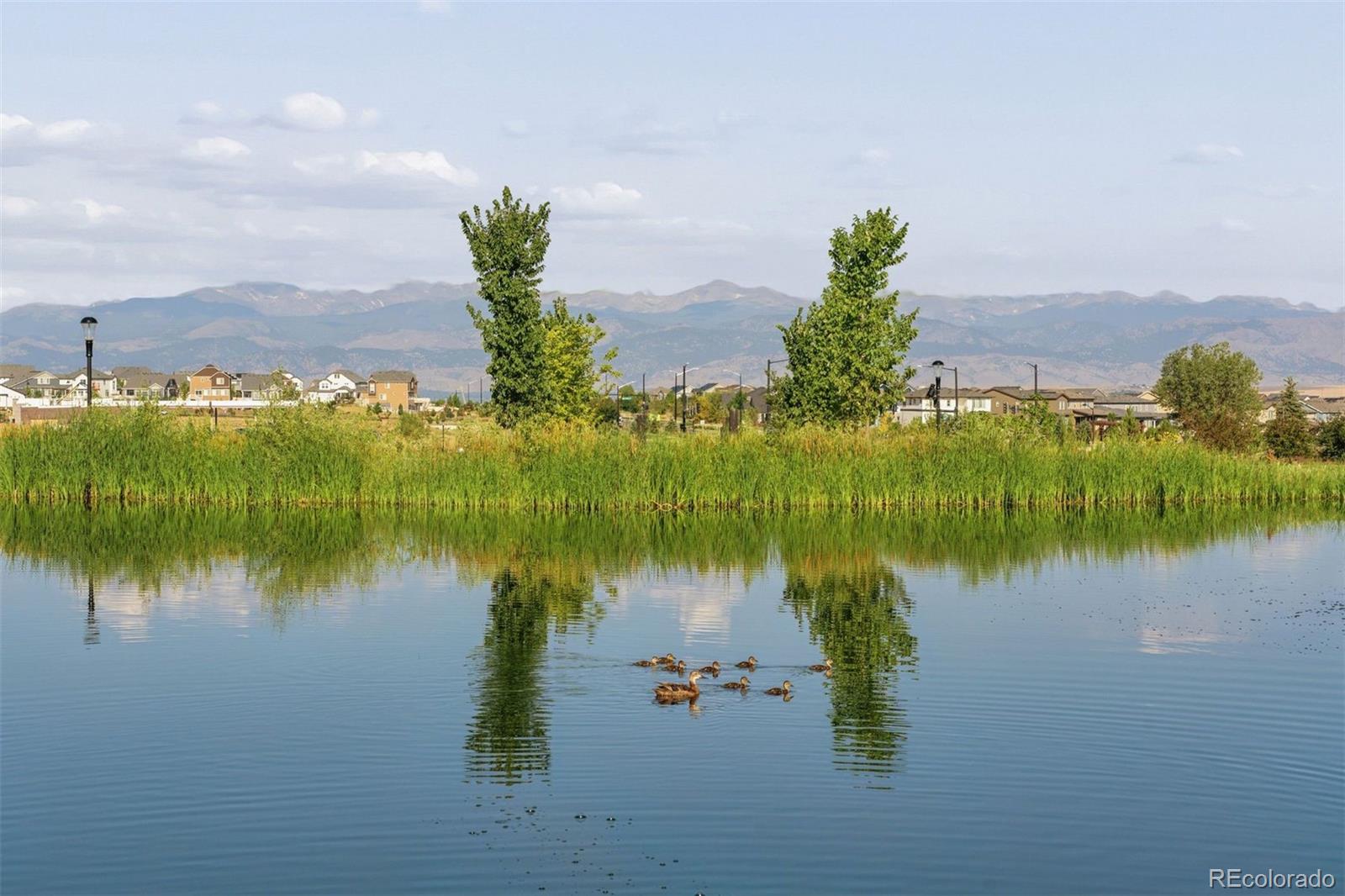 MLS Image #46 for 285  westerly boulevard,erie, Colorado