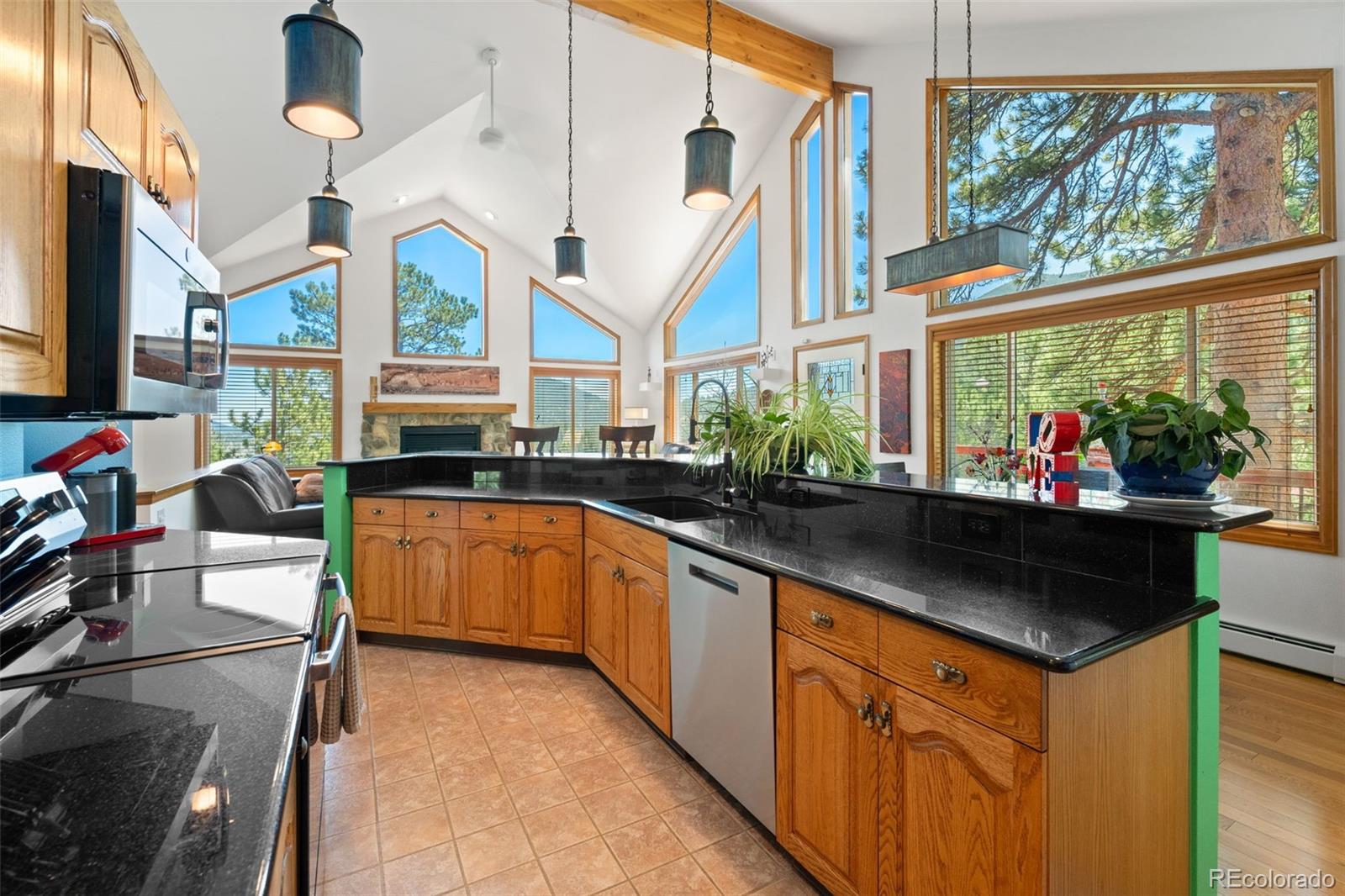 MLS Image #13 for 1281  clear creek road,evergreen, Colorado