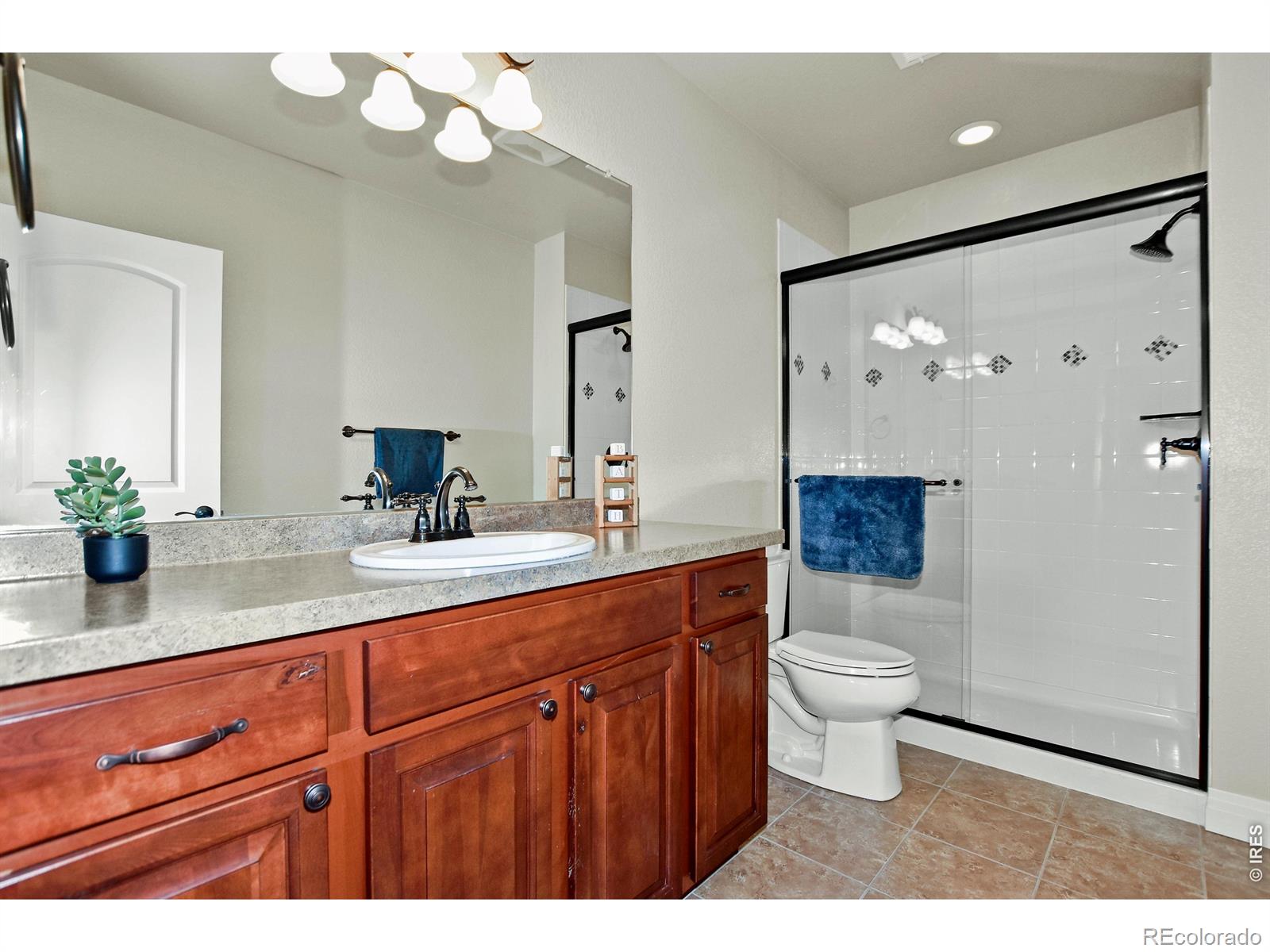 MLS Image #34 for 2328  calais drive,longmont, Colorado