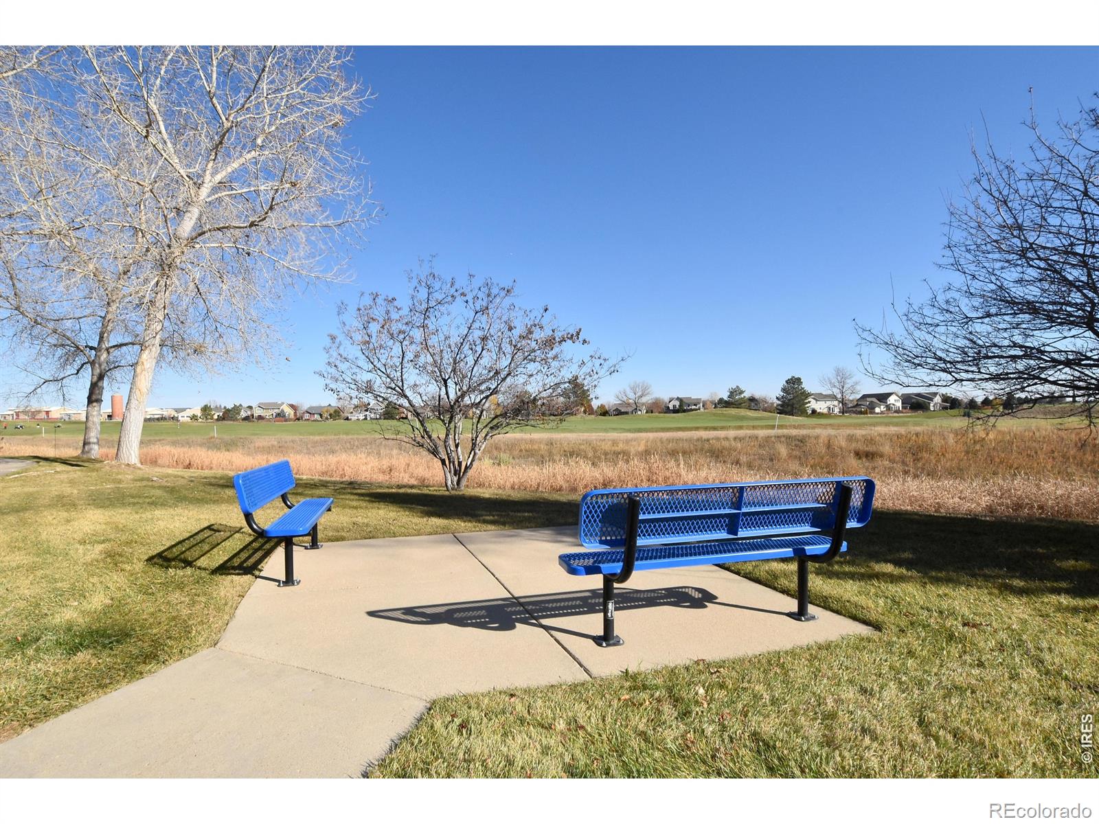MLS Image #41 for 2328  calais drive,longmont, Colorado