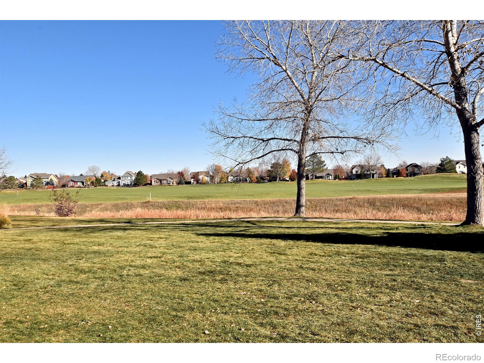 MLS Image #43 for 2328  calais drive,longmont, Colorado