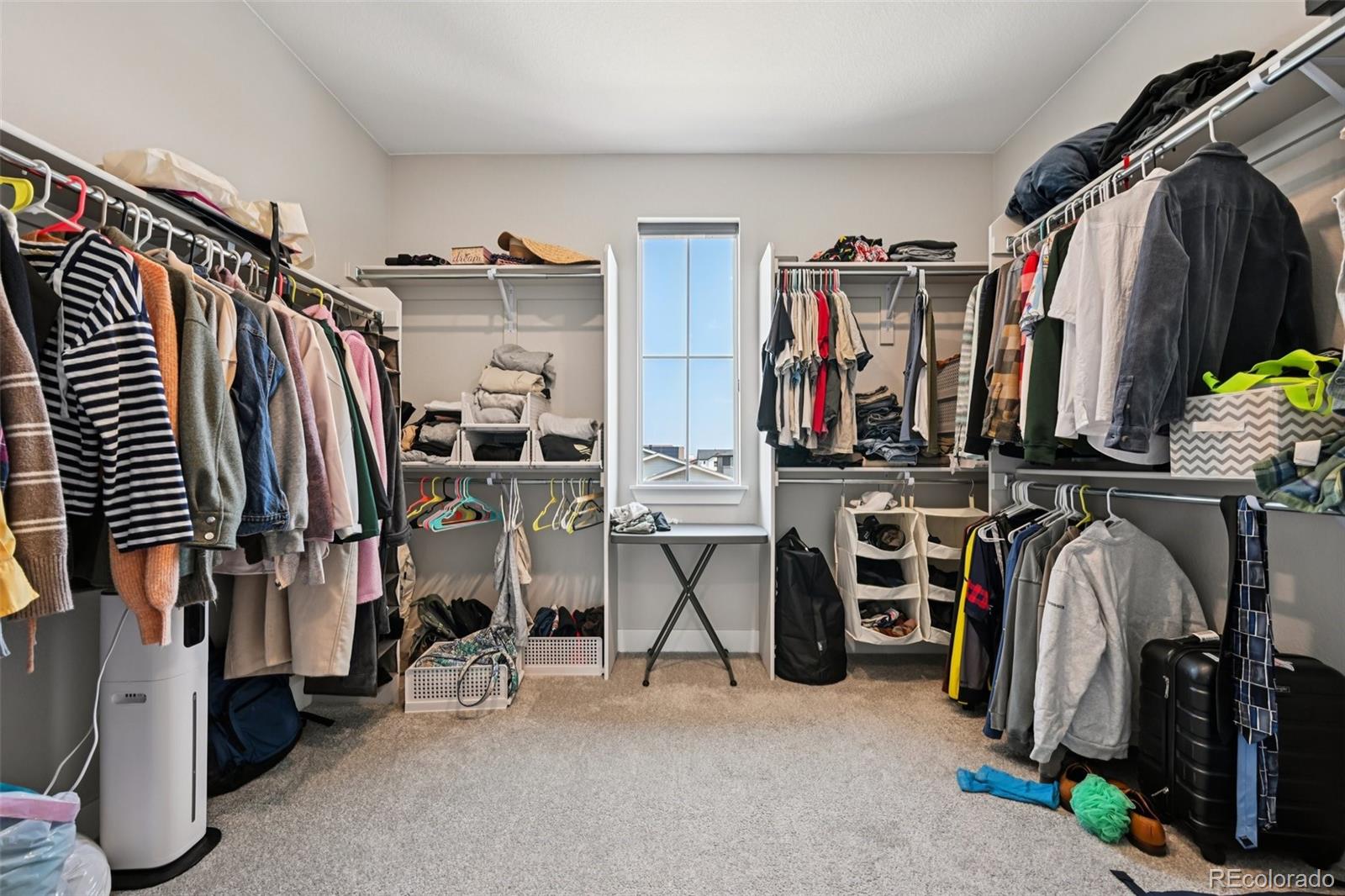 MLS Image #26 for 8491  hotchkiss loop,littleton, Colorado