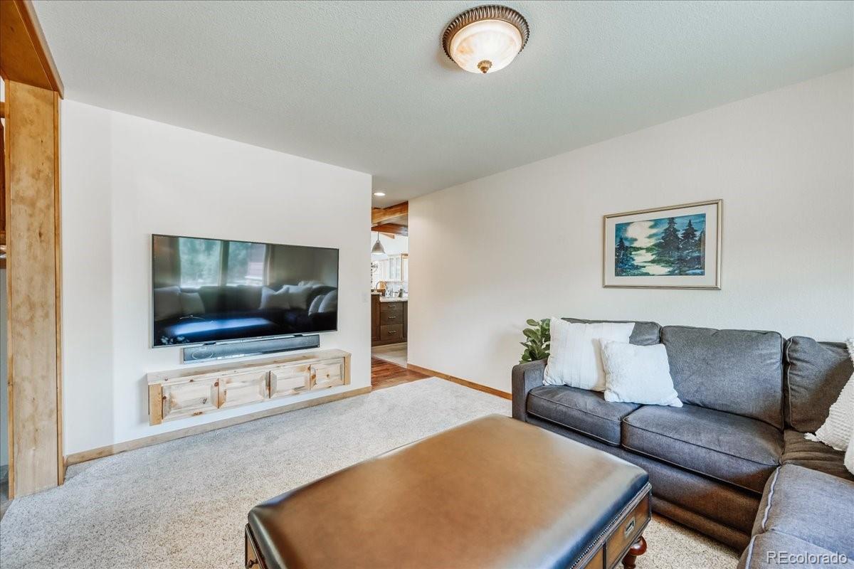 MLS Image #12 for 27  montane court,dillon, Colorado