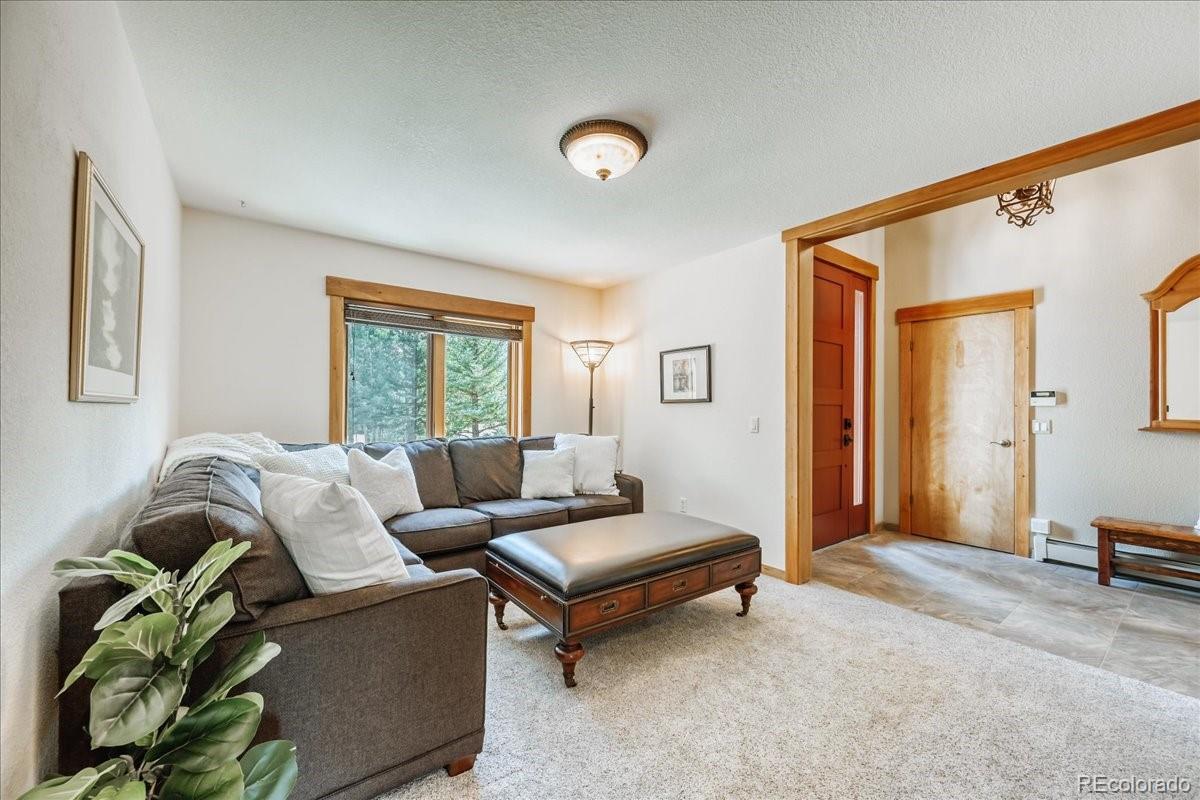 MLS Image #14 for 27  montane court,dillon, Colorado