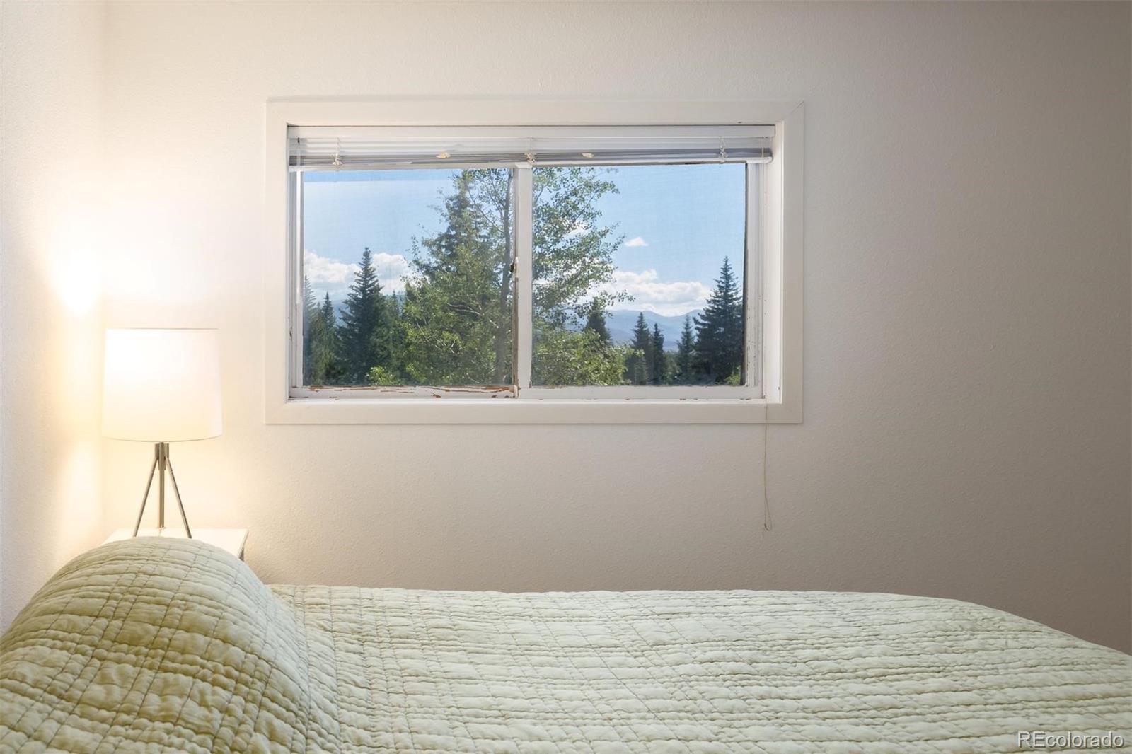 MLS Image #14 for 10000  ryan gulch road,silverthorne, Colorado