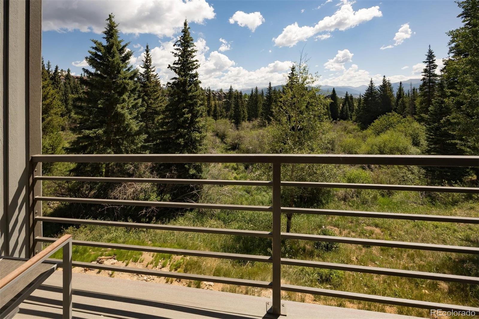 MLS Image #16 for 10000  ryan gulch road,silverthorne, Colorado