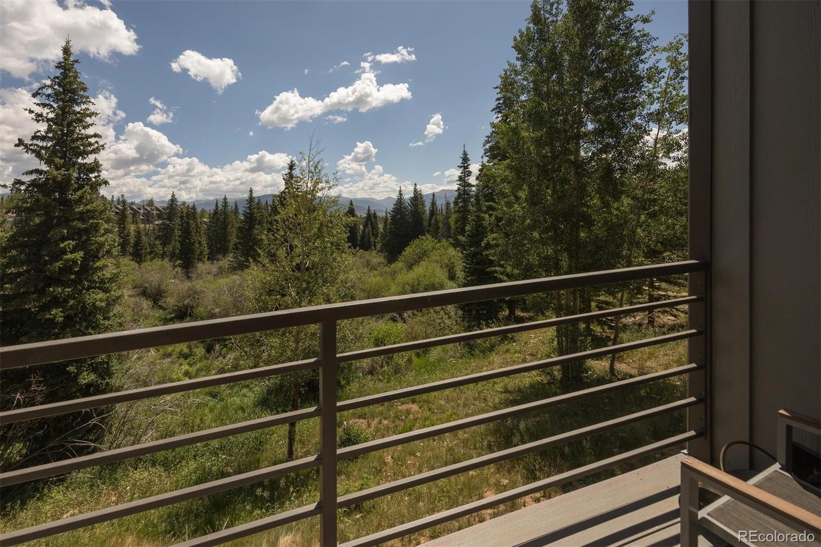 MLS Image #17 for 10000  ryan gulch road,silverthorne, Colorado