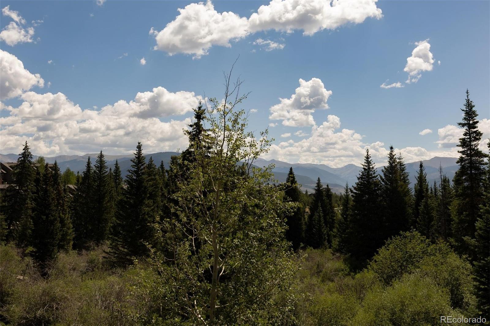 MLS Image #18 for 10000  ryan gulch road,silverthorne, Colorado