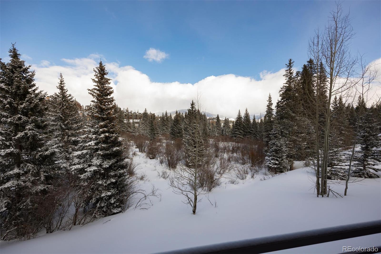 MLS Image #19 for 10000  ryan gulch road,silverthorne, Colorado