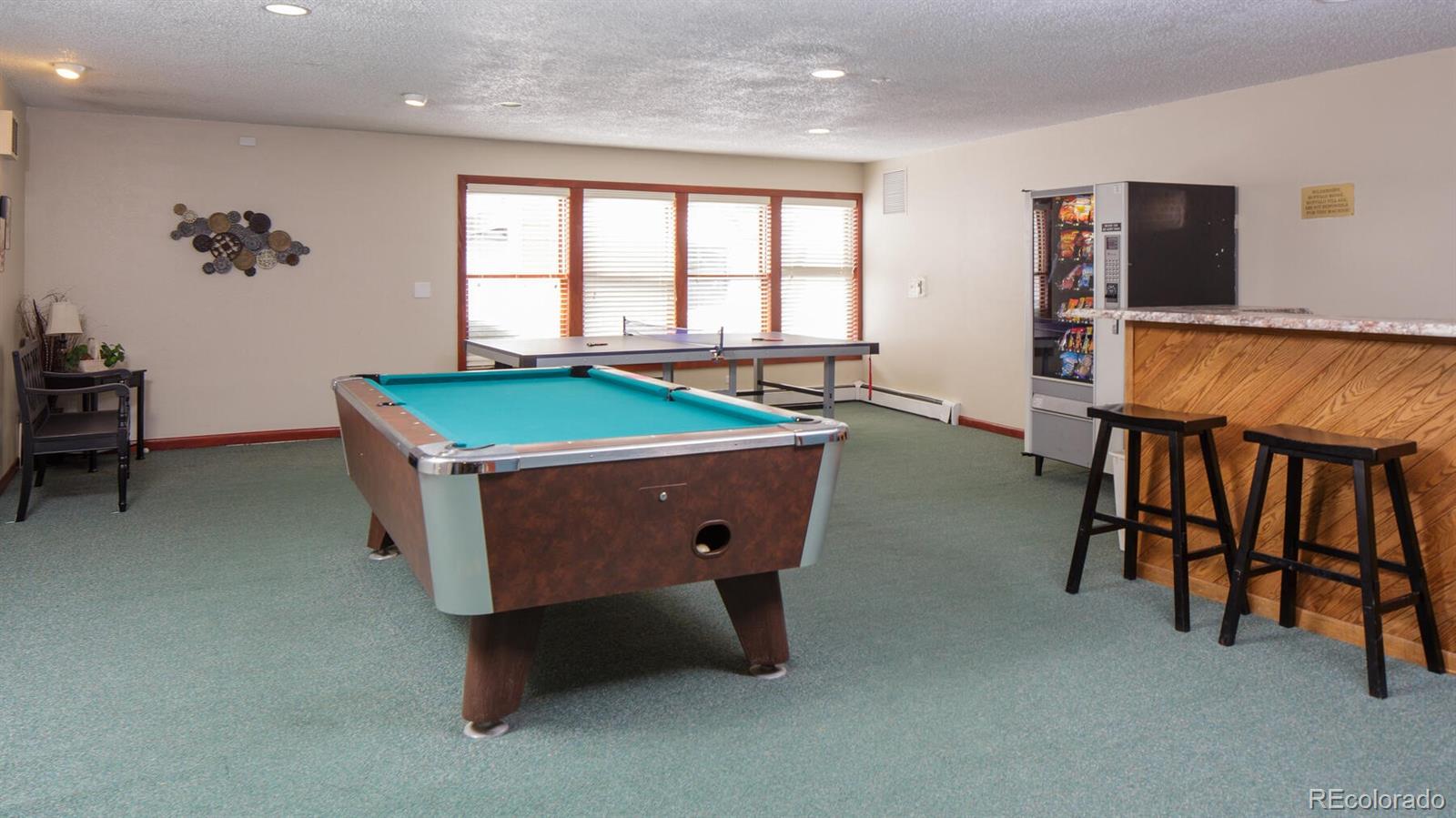 MLS Image #23 for 10000  ryan gulch road,silverthorne, Colorado