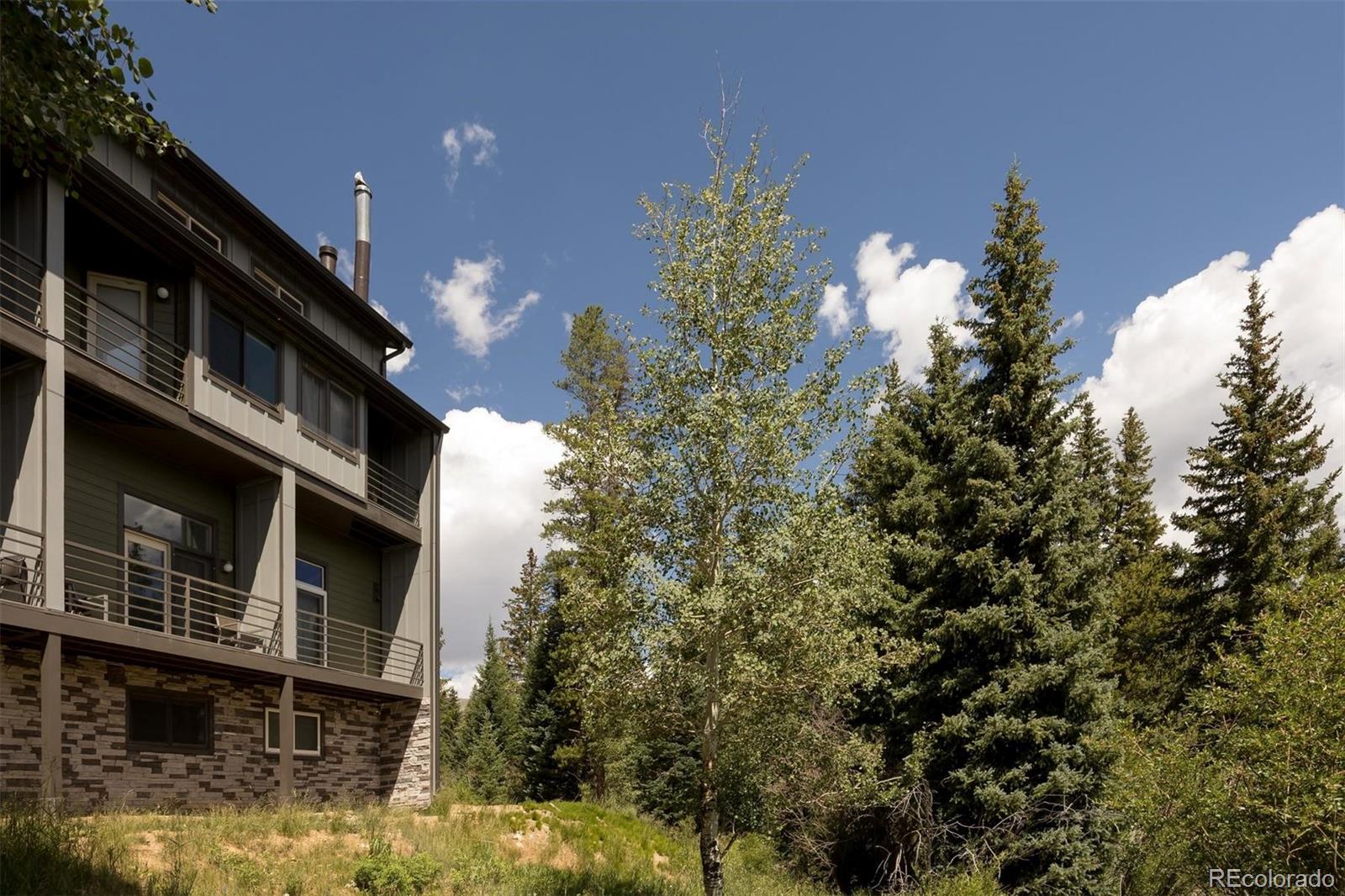 MLS Image #29 for 10000  ryan gulch road,silverthorne, Colorado