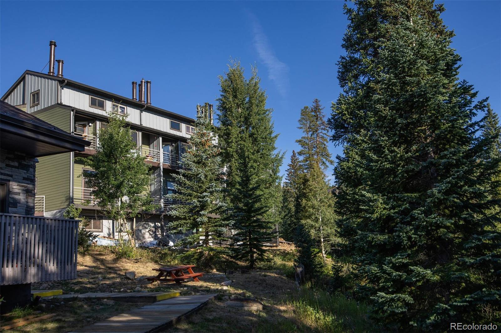 MLS Image #30 for 10000  ryan gulch road,silverthorne, Colorado