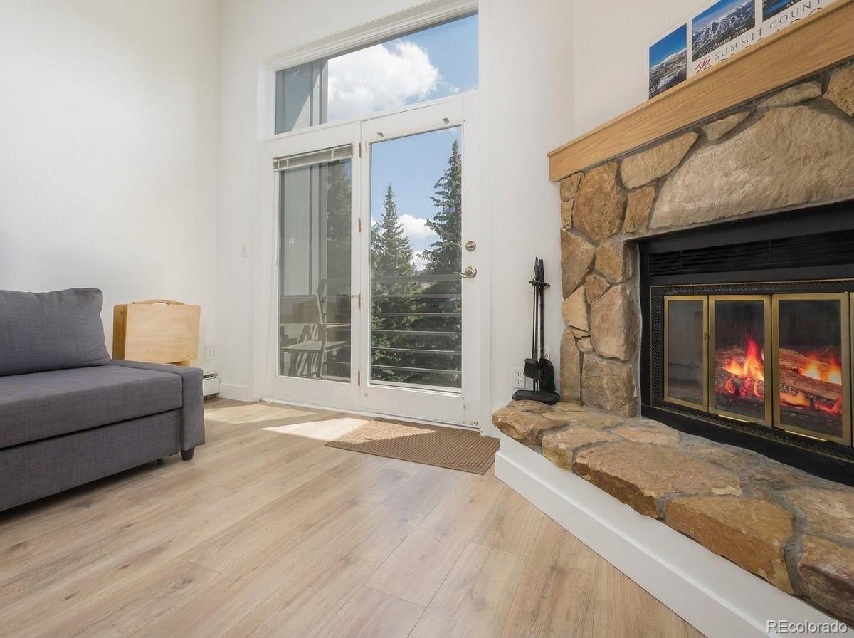 MLS Image #4 for 10000  ryan gulch road,silverthorne, Colorado