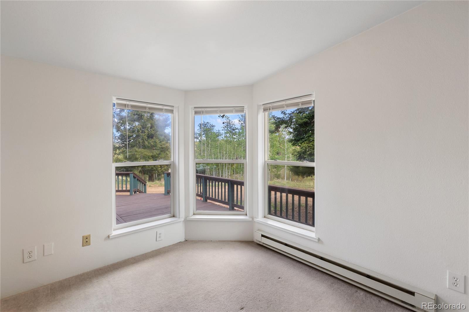 MLS Image #16 for 350  brooks lane,woodland park, Colorado