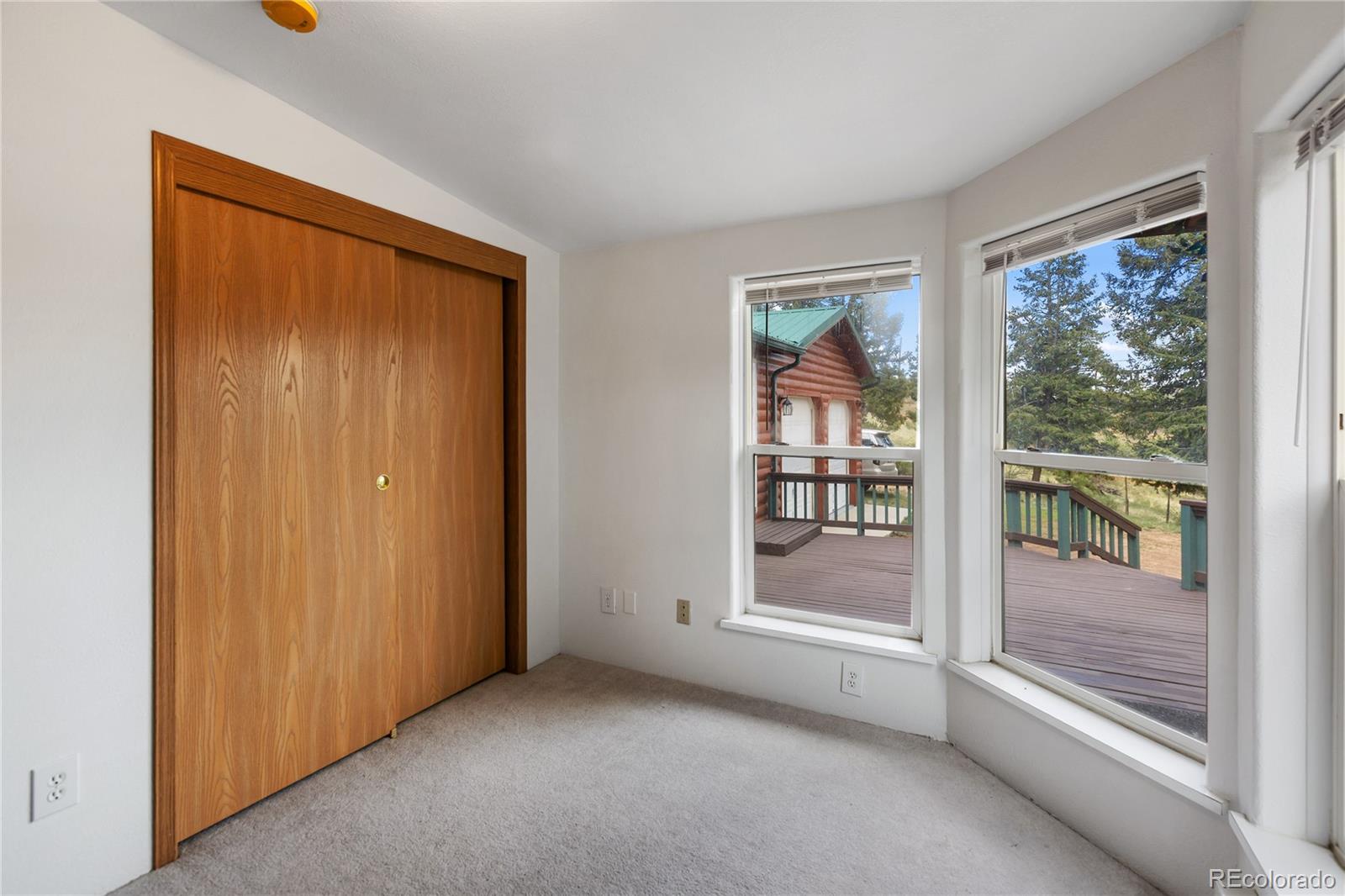 MLS Image #18 for 350  brooks lane,woodland park, Colorado