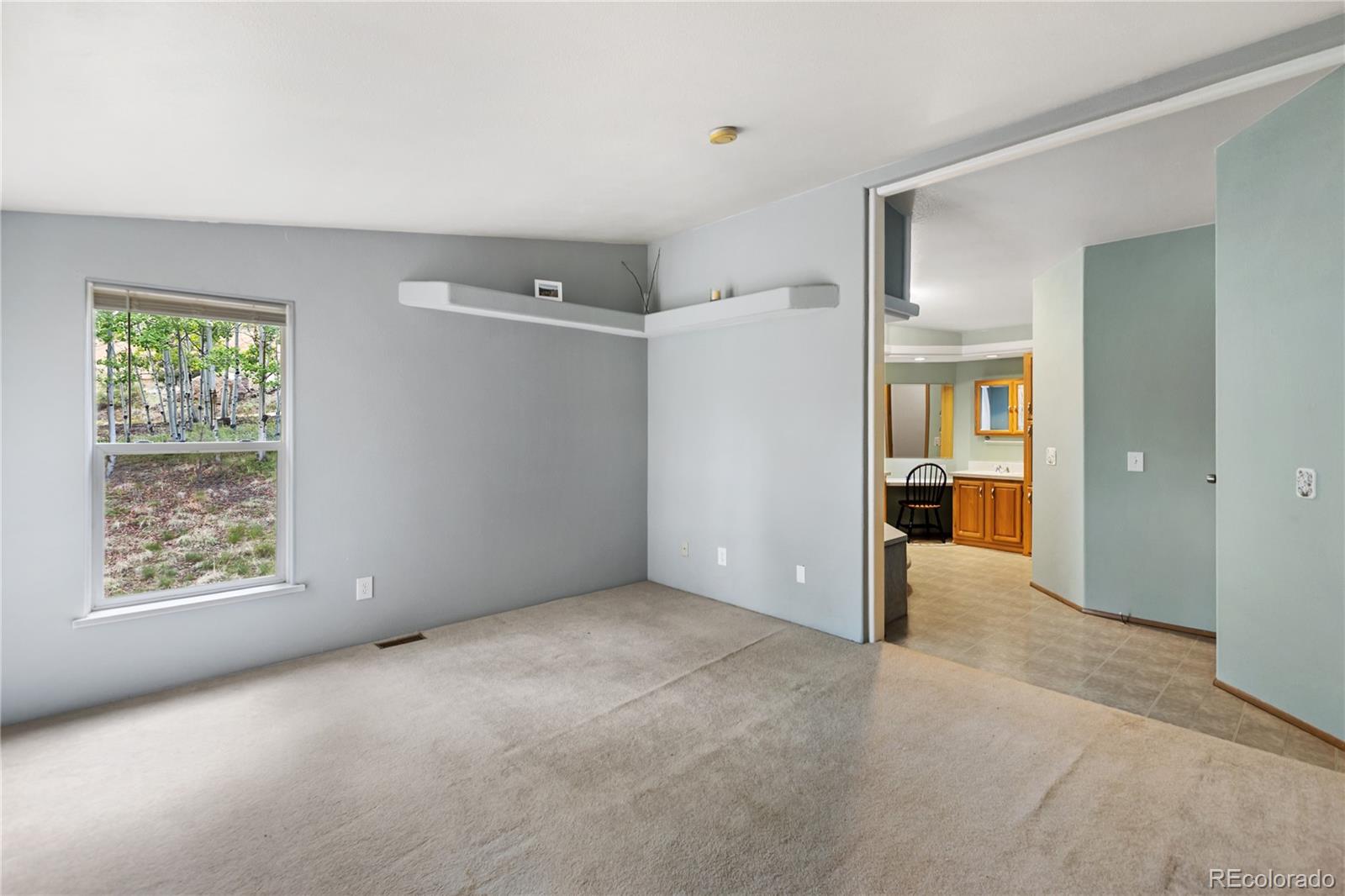 MLS Image #20 for 350  brooks lane,woodland park, Colorado