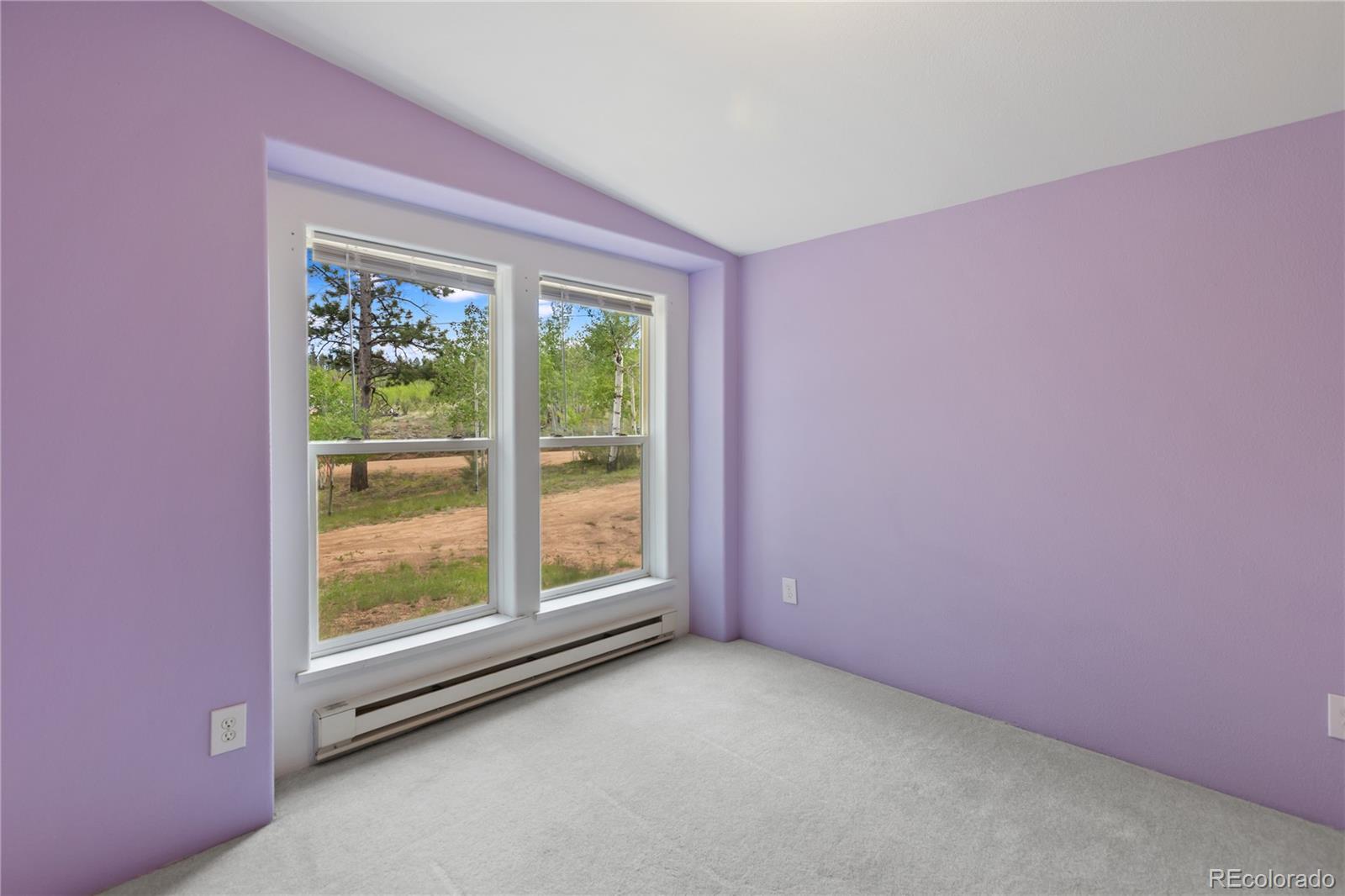 MLS Image #26 for 350  brooks lane,woodland park, Colorado