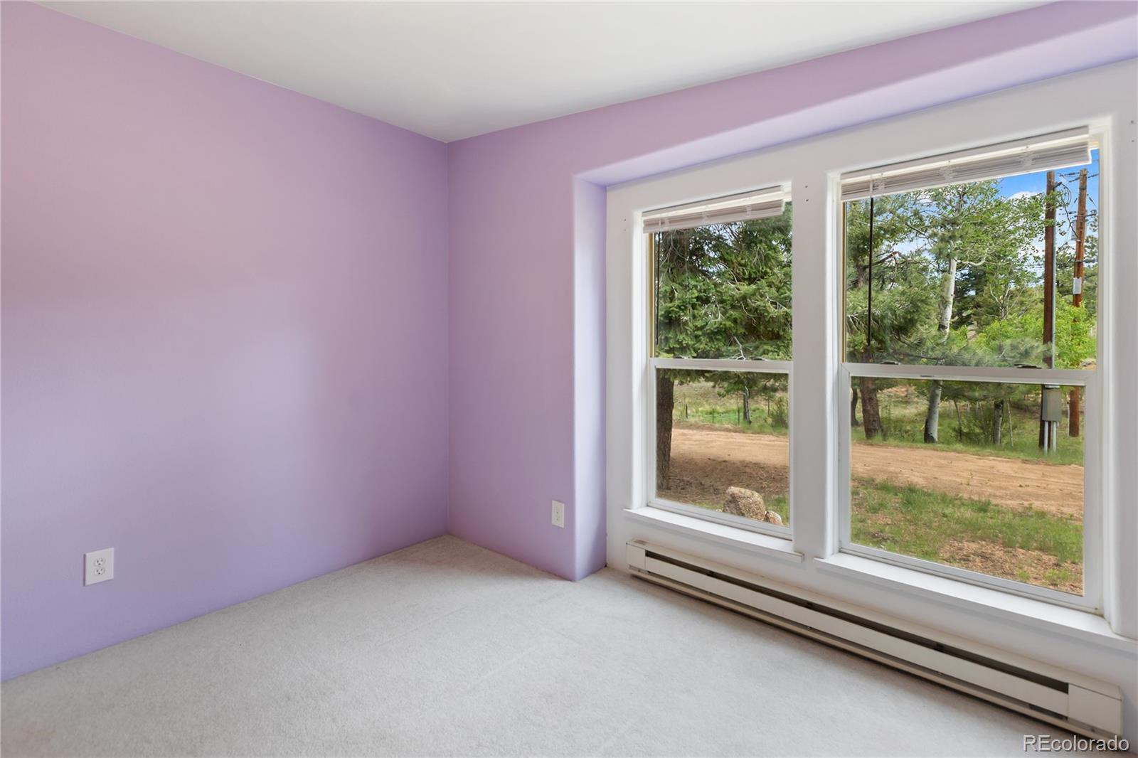 MLS Image #27 for 350  brooks lane,woodland park, Colorado