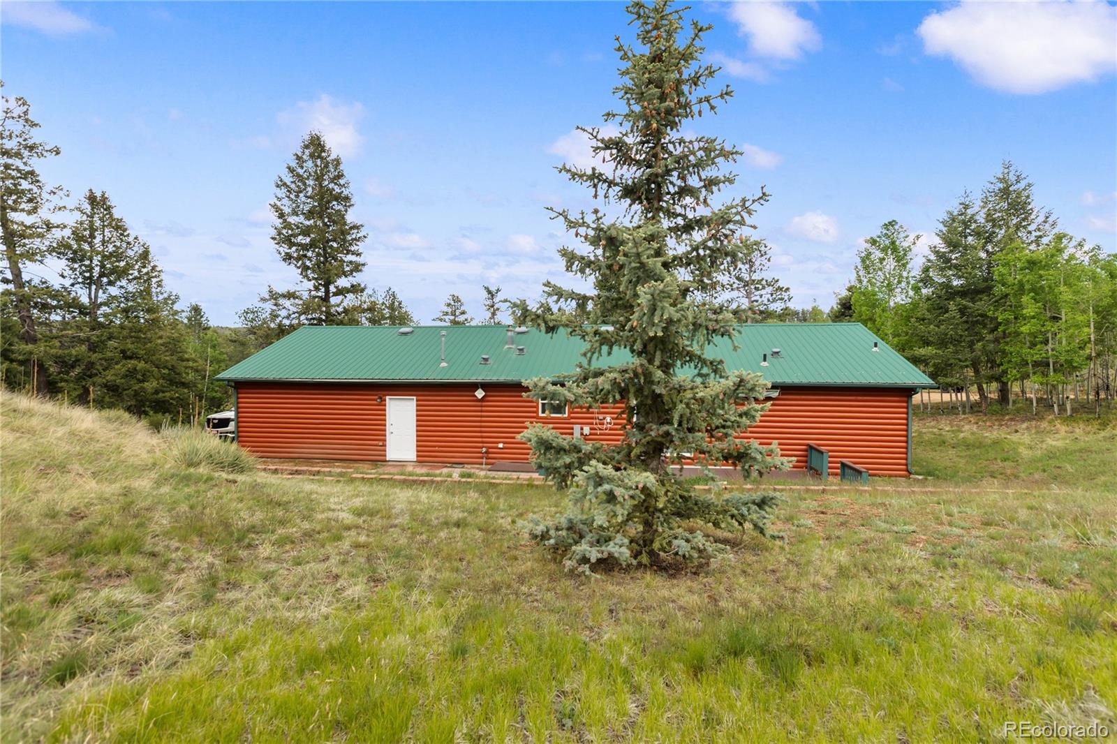 MLS Image #32 for 350  brooks lane,woodland park, Colorado