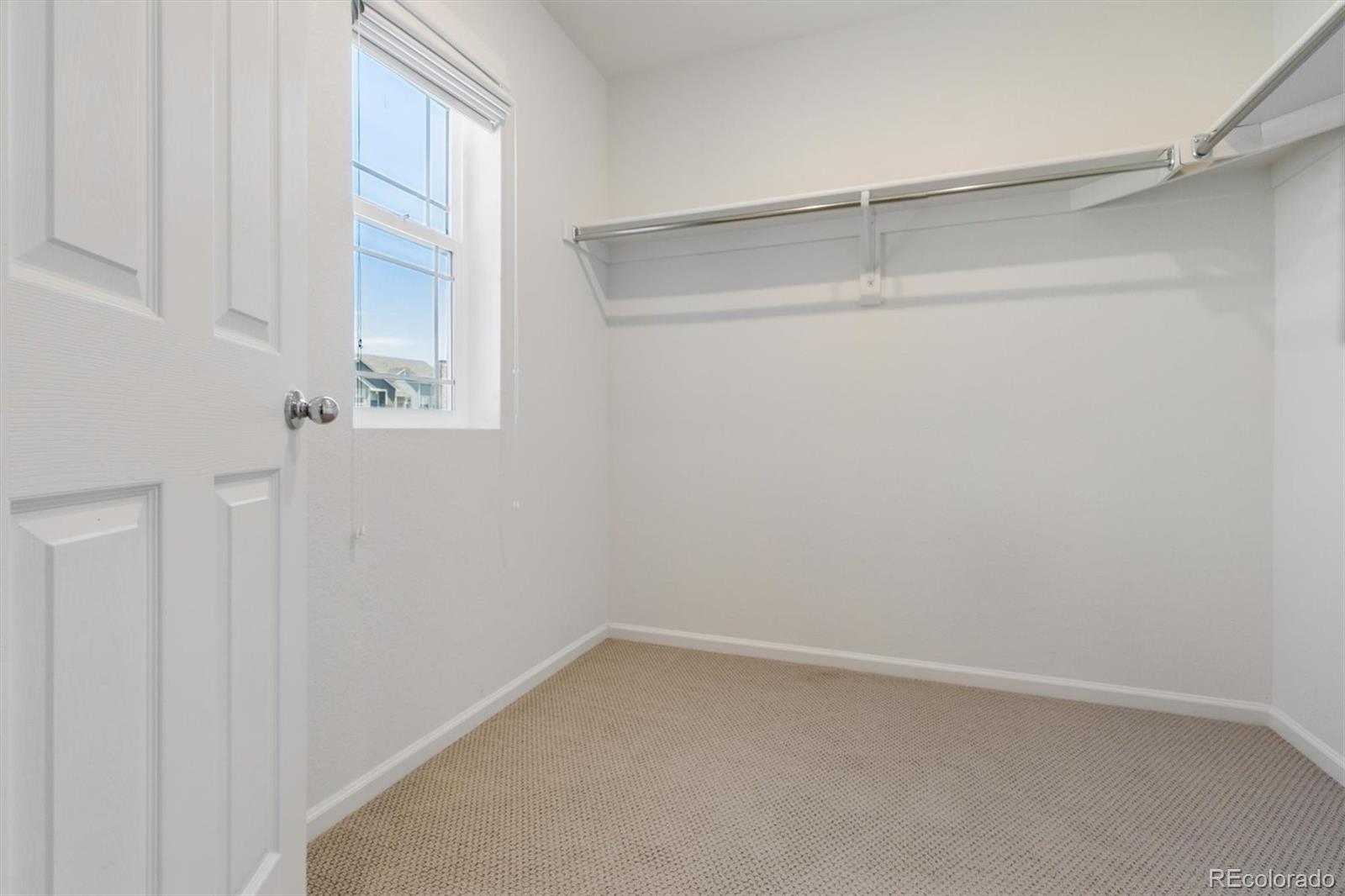 MLS Image #20 for 399  courtfield way,castle rock, Colorado