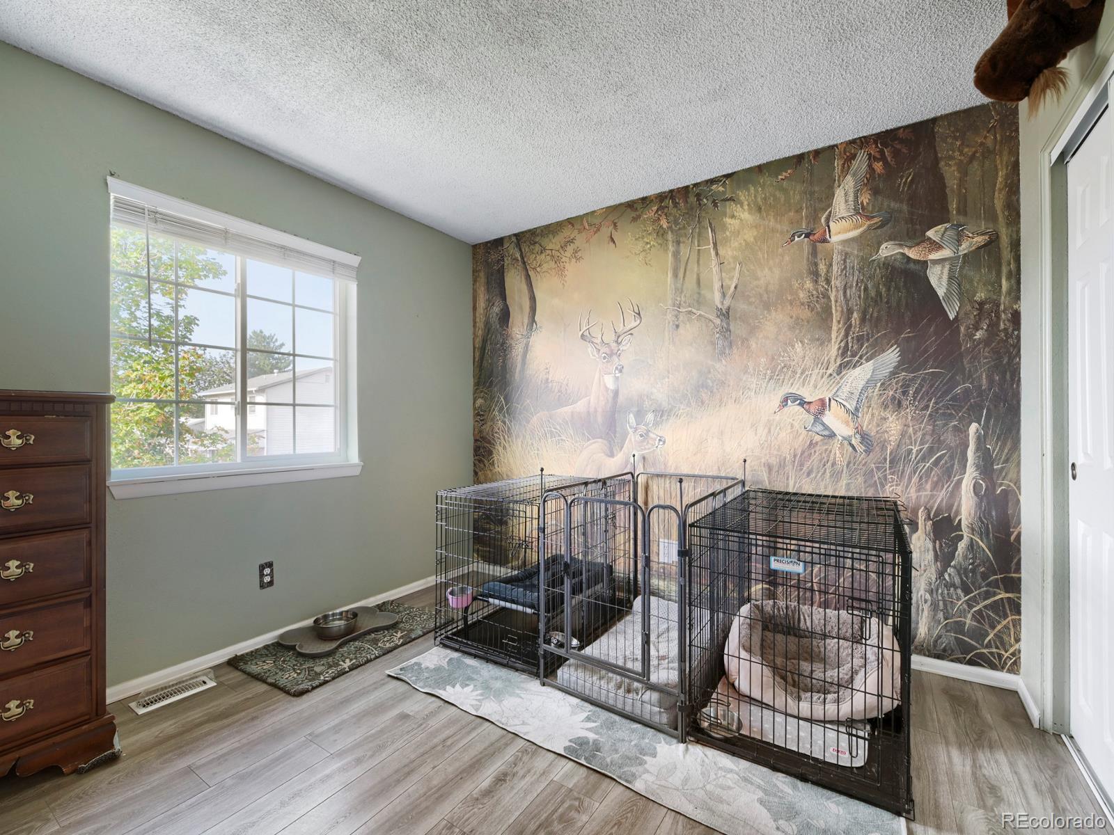 MLS Image #17 for 13428  alcott circle,broomfield, Colorado