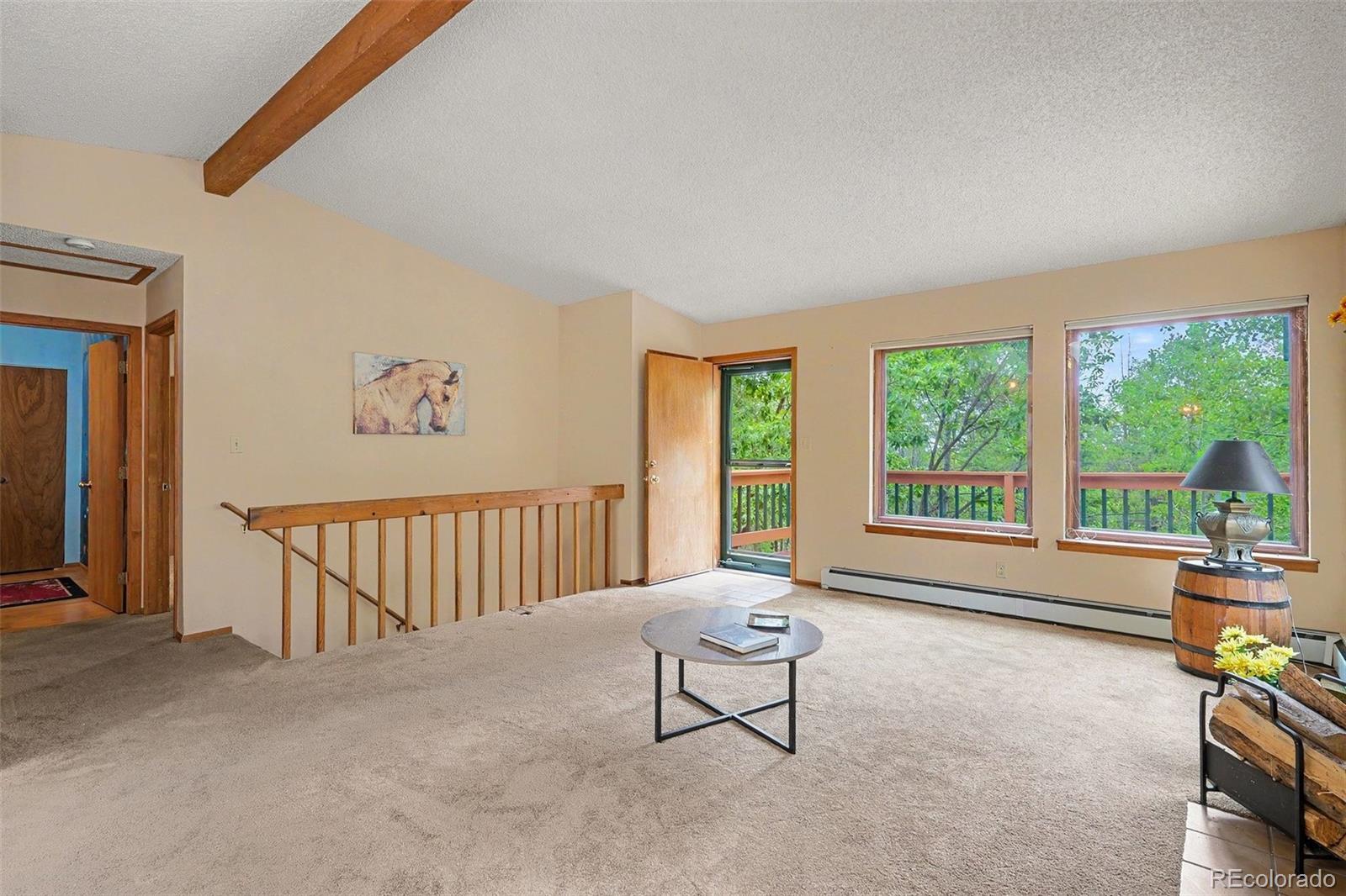 MLS Image #6 for 10605  crystal drive,morrison, Colorado