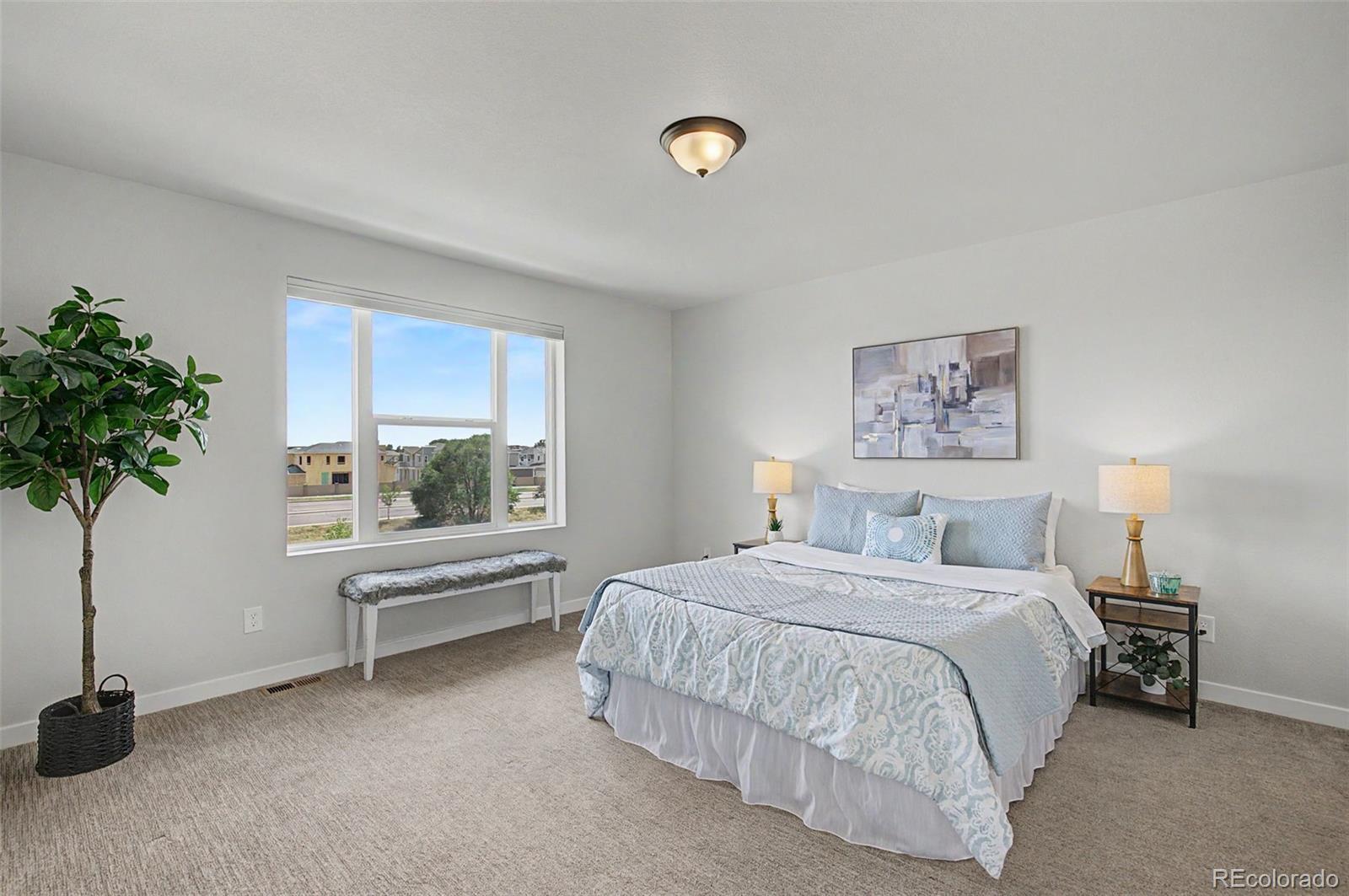 MLS Image #15 for 7481  sun chaser heights,colorado springs, Colorado