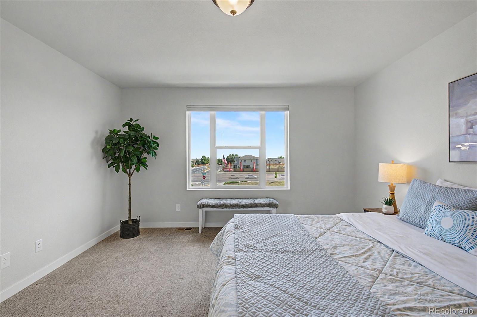 MLS Image #19 for 7481  sun chaser heights,colorado springs, Colorado