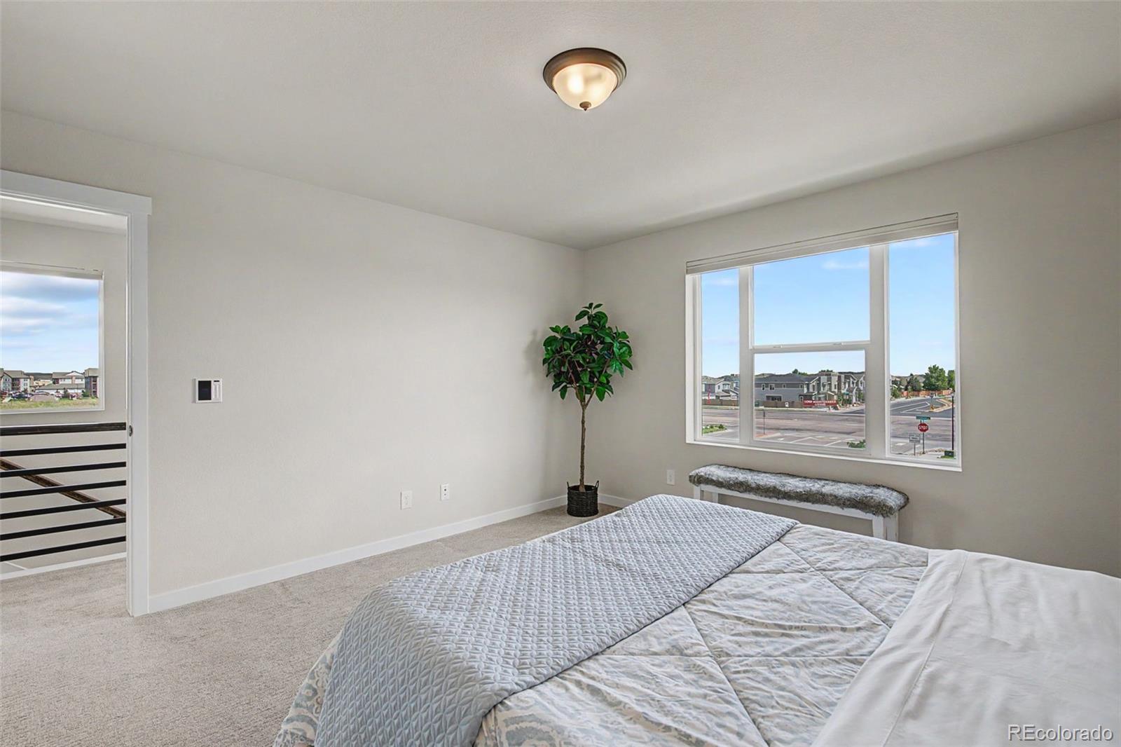 MLS Image #20 for 7481  sun chaser heights,colorado springs, Colorado