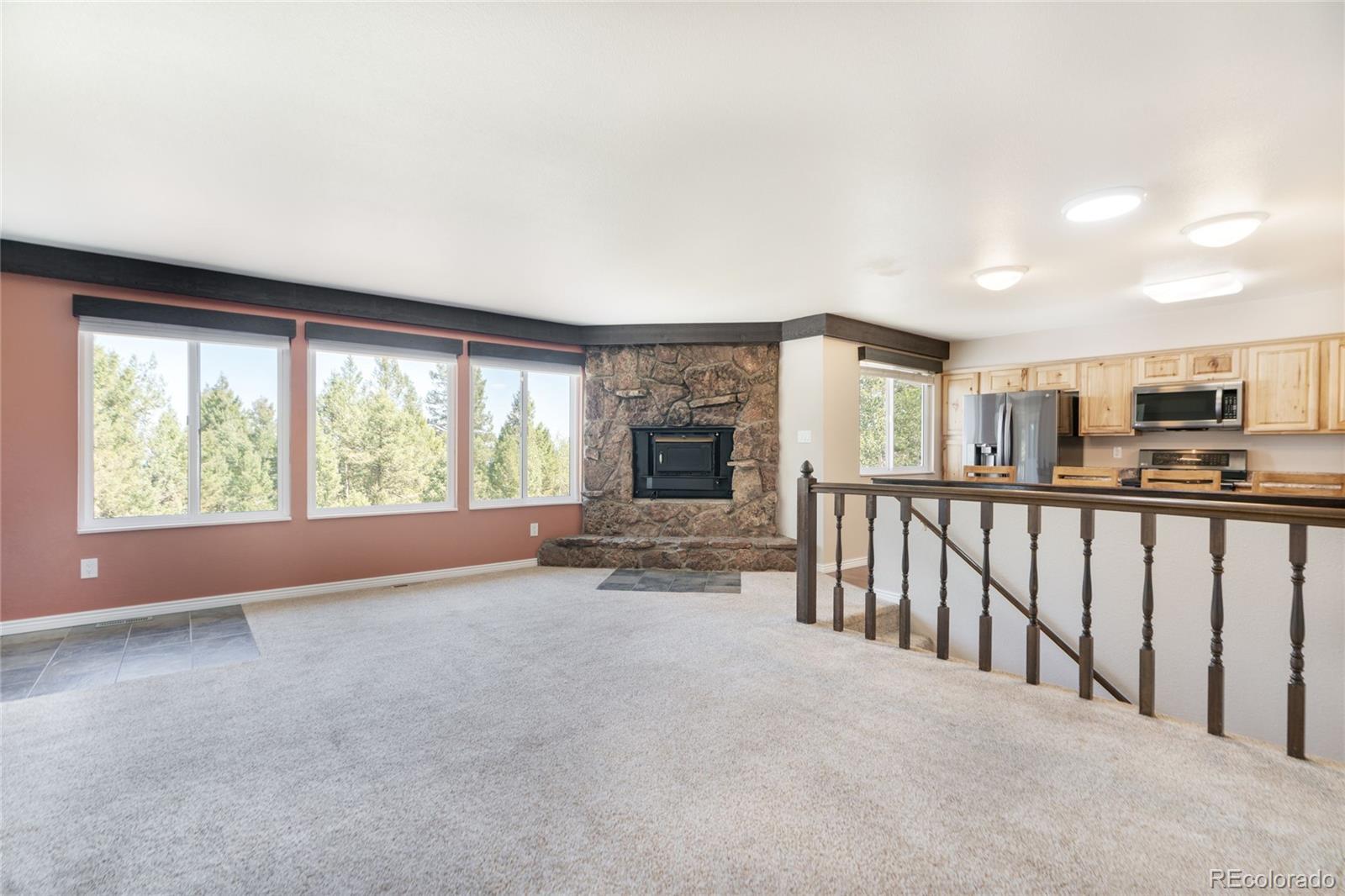 MLS Image #24 for 9790 s warhawk road,conifer, Colorado