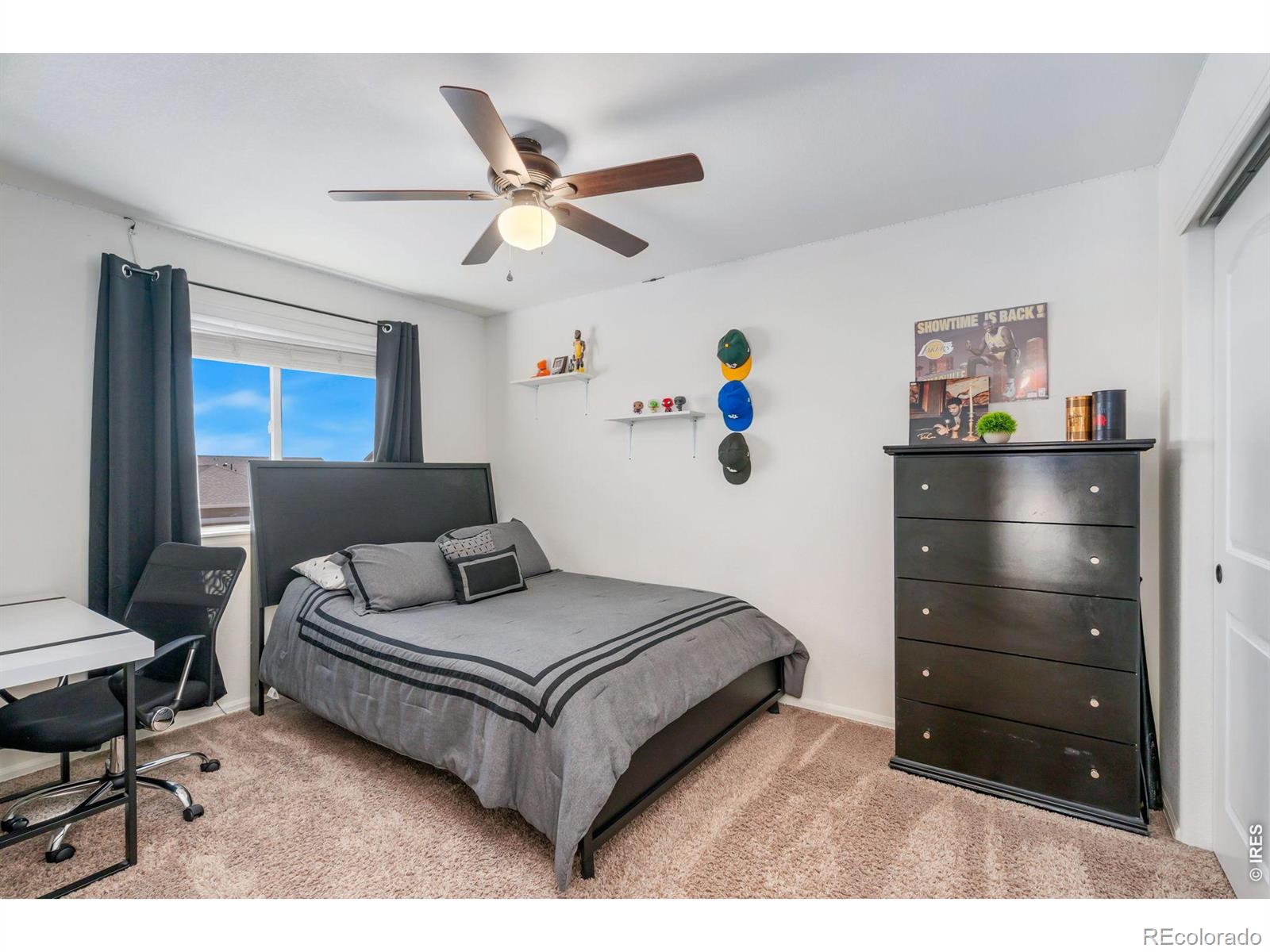 MLS Image #25 for 938  scotch pine drive,severance, Colorado