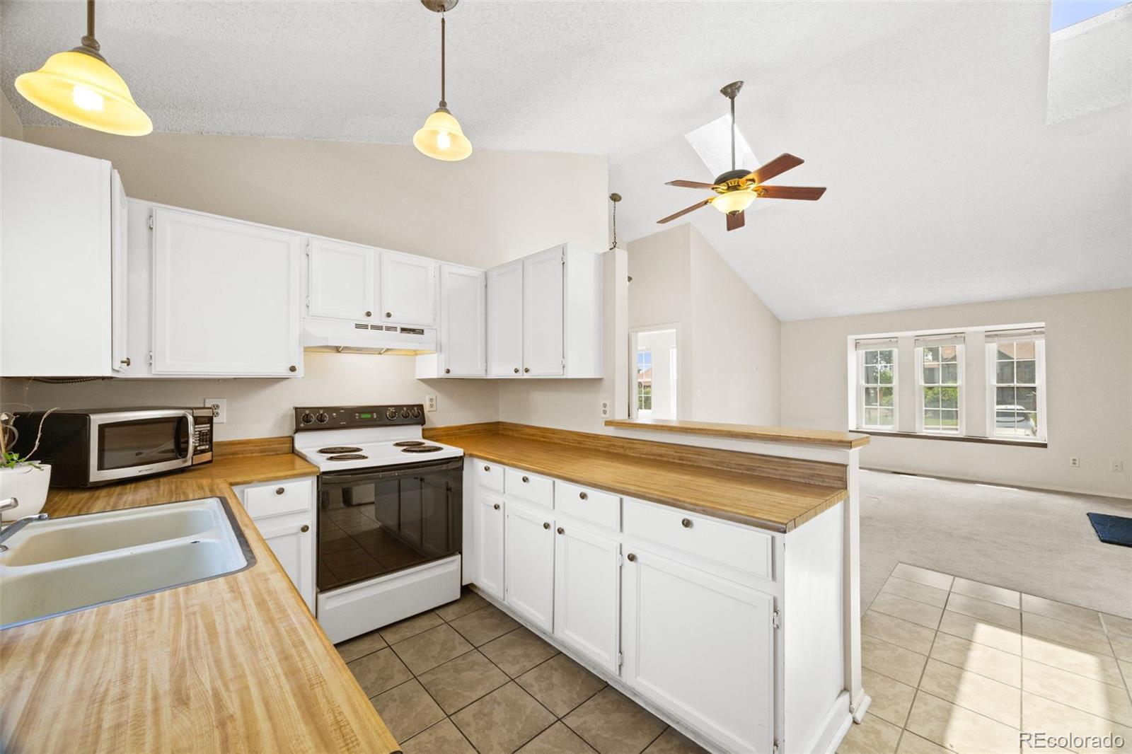 MLS Image #11 for 17458 e rice circle,aurora, Colorado