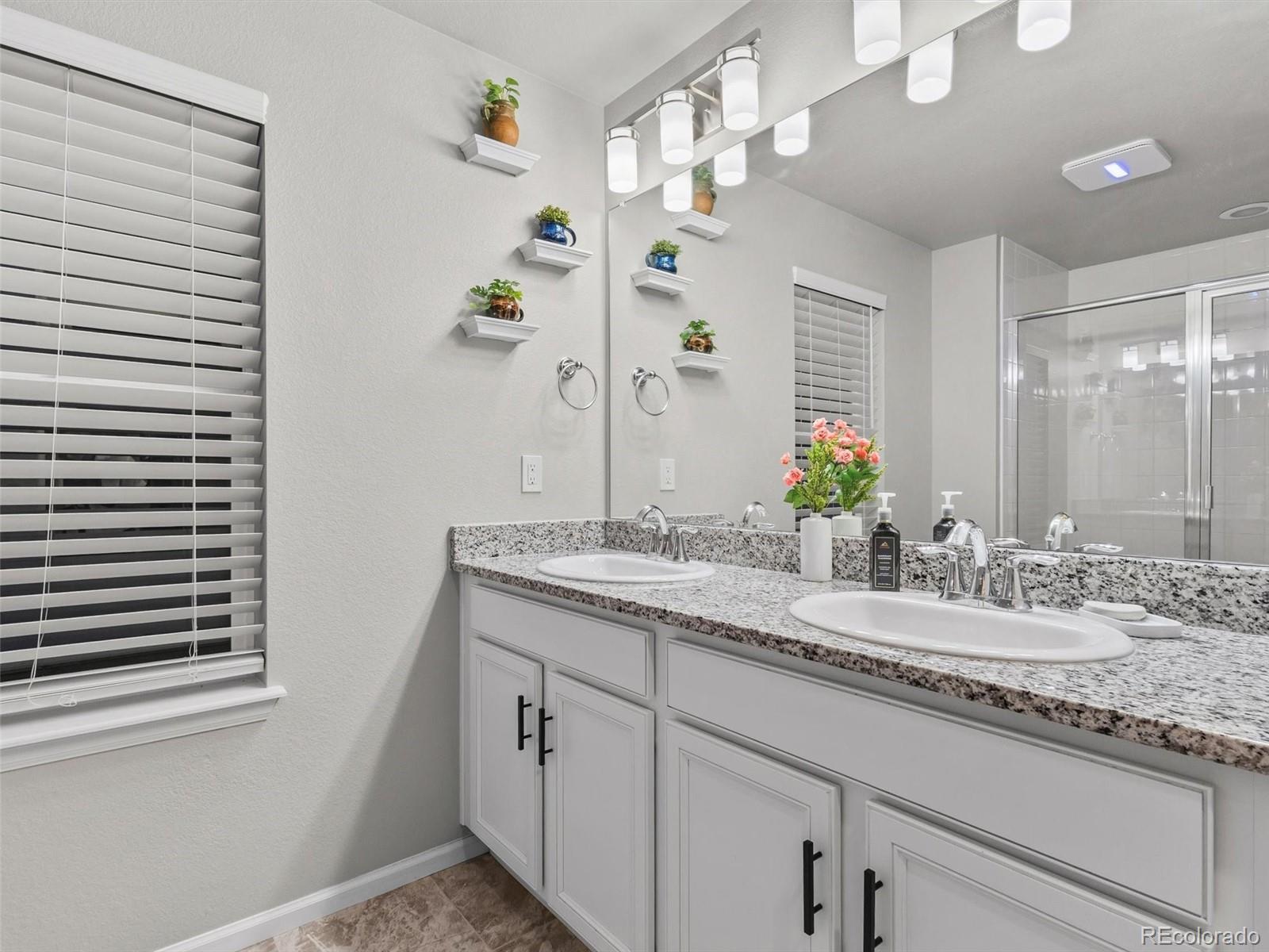 MLS Image #19 for 18809 e 66th avenue,denver, Colorado