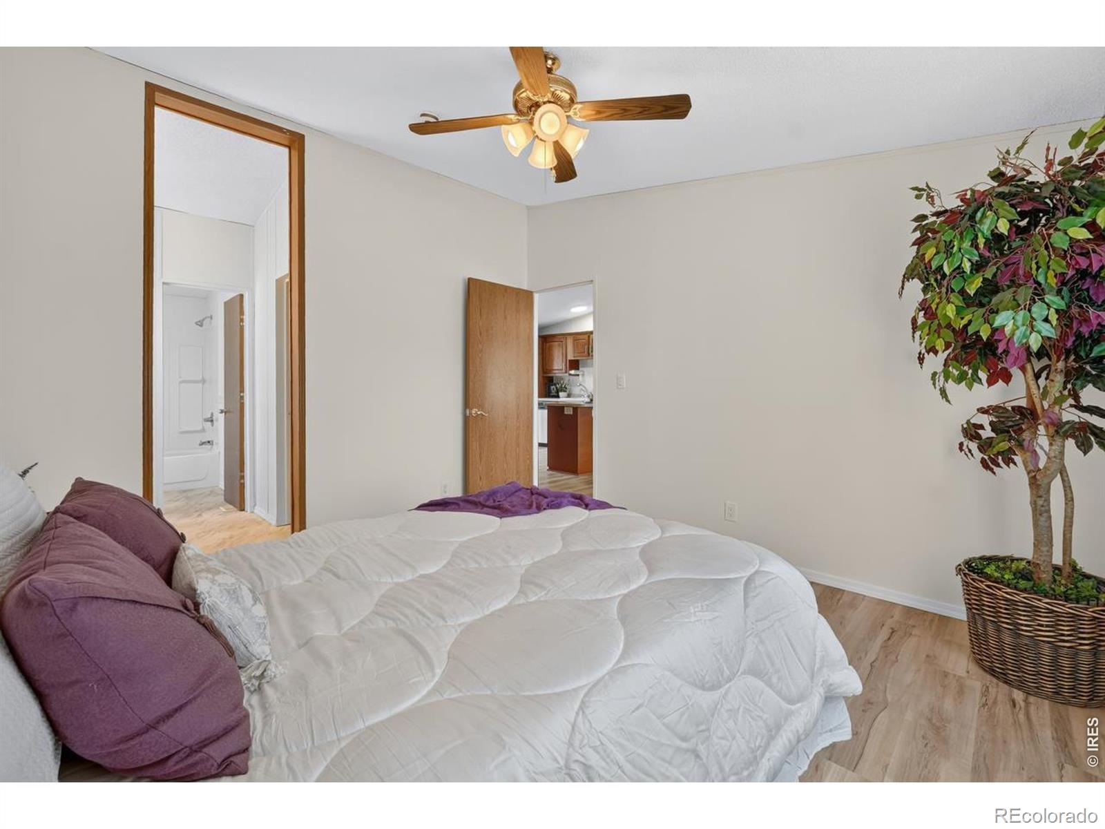 MLS Image #18 for 255  kattell street,erie, Colorado